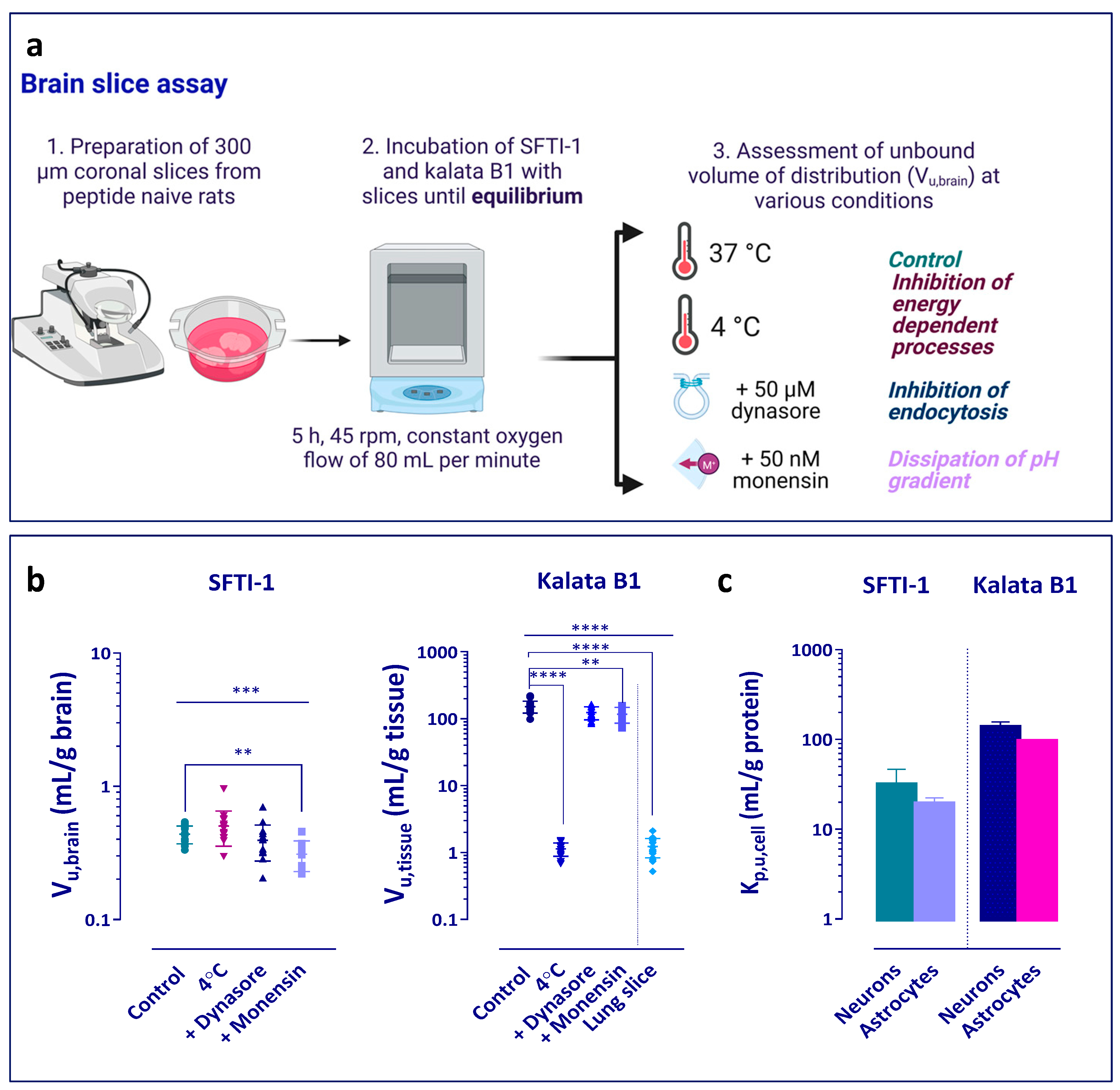 Pharmaceutics 15 01507 g002