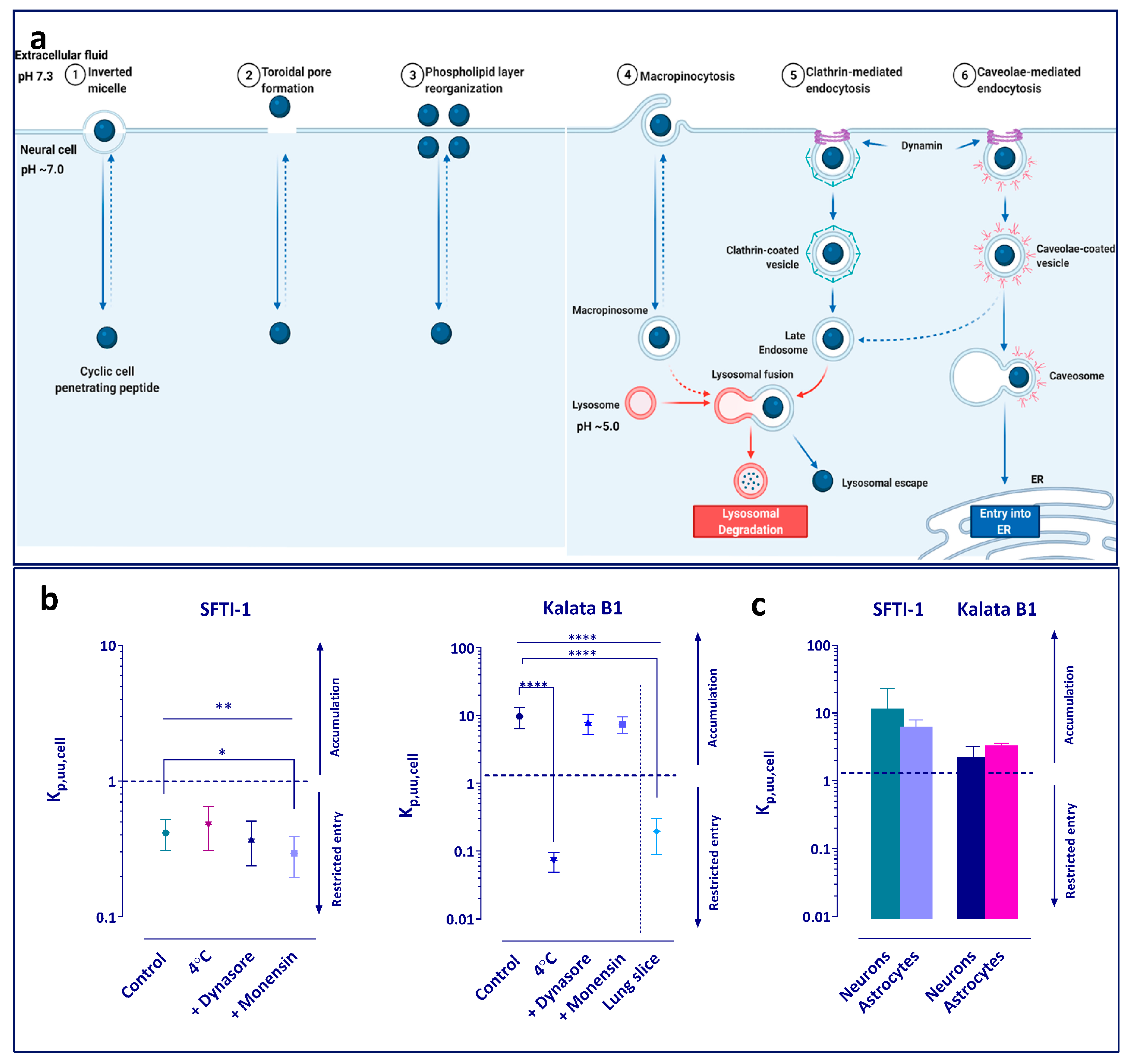 Pharmaceutics 15 01507 g003