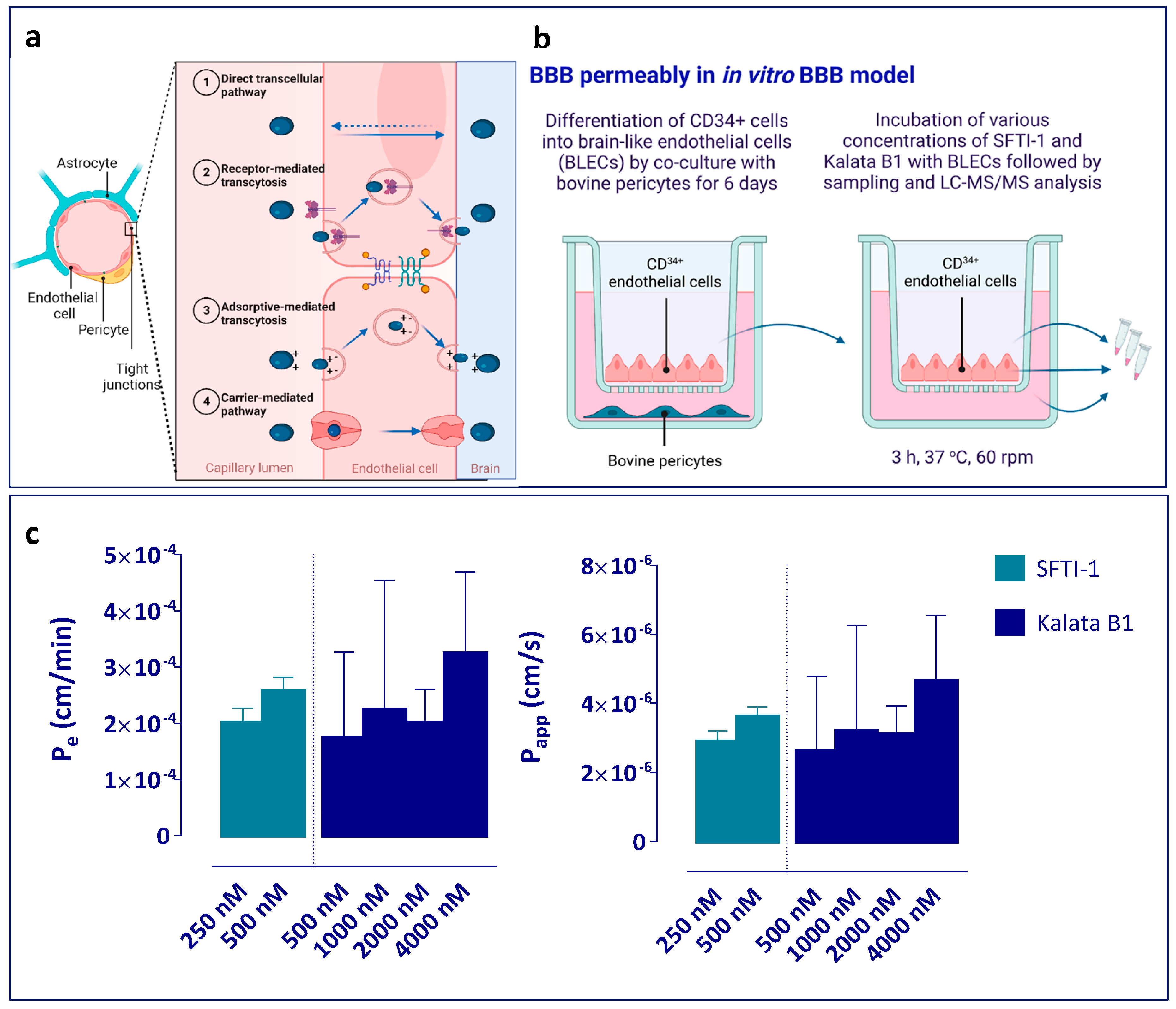 Pharmaceutics 15 01507 g004