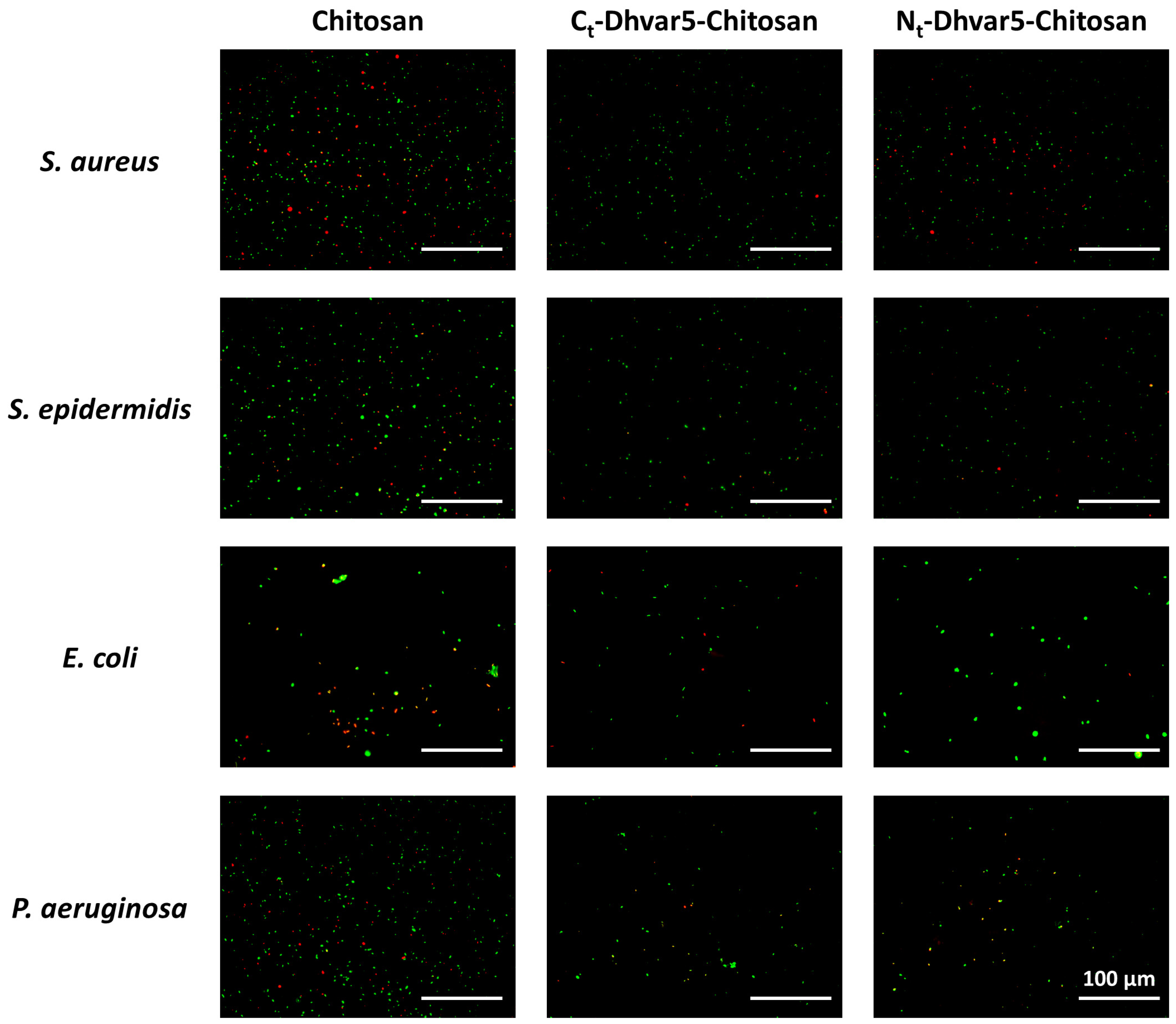 Pharmaceutics 15 01510 g009