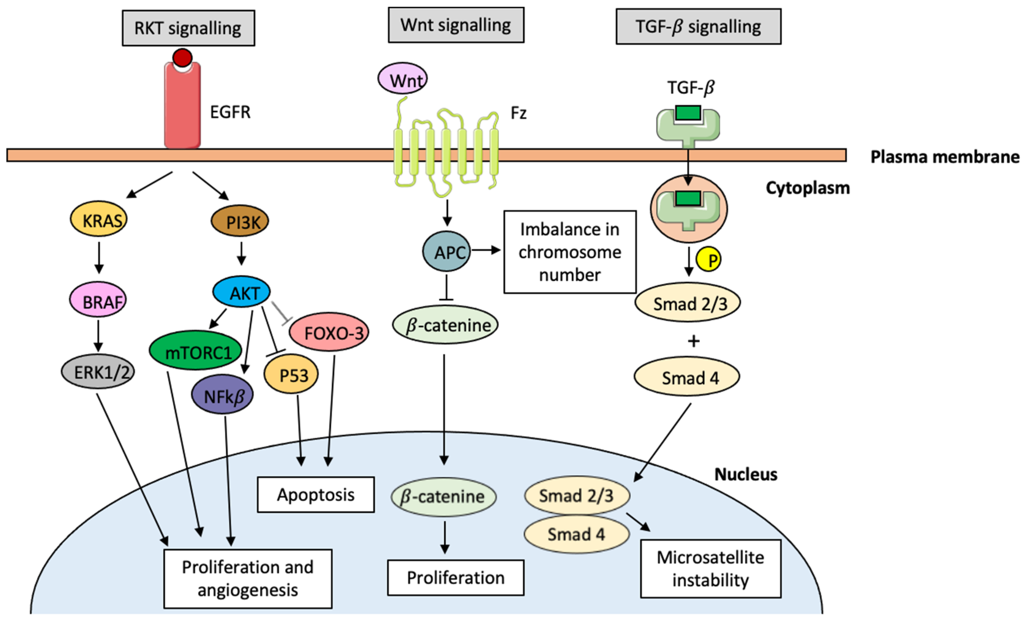 Pharmaceutics 15 01514 g002 Pharmaceutics 15 01514 g002