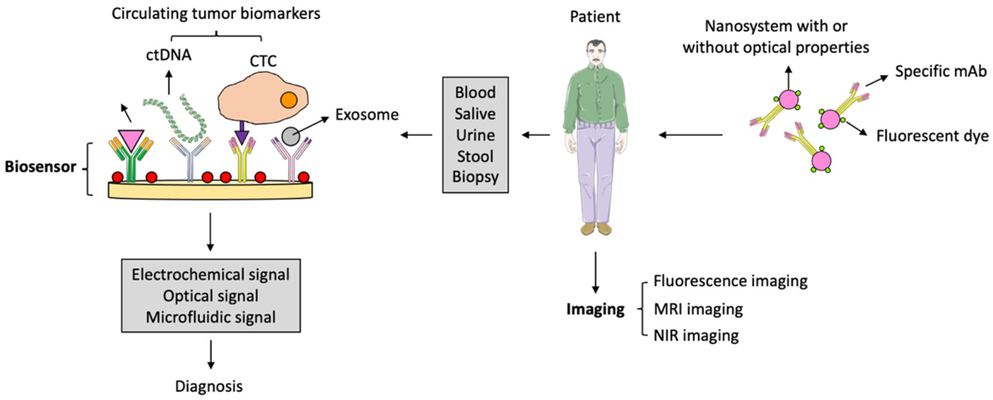 Pharmaceutics 15 01514 g006 Pharmaceutics 15 01514 g006
