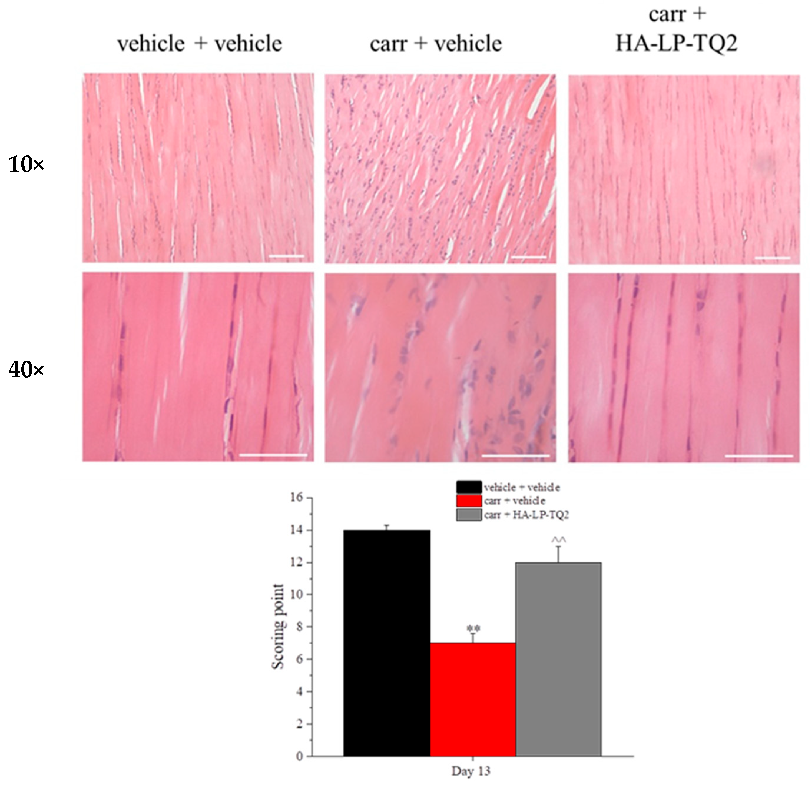 Pharmaceutics 15 01516 g008 Pharmaceutics 15 01516 g008