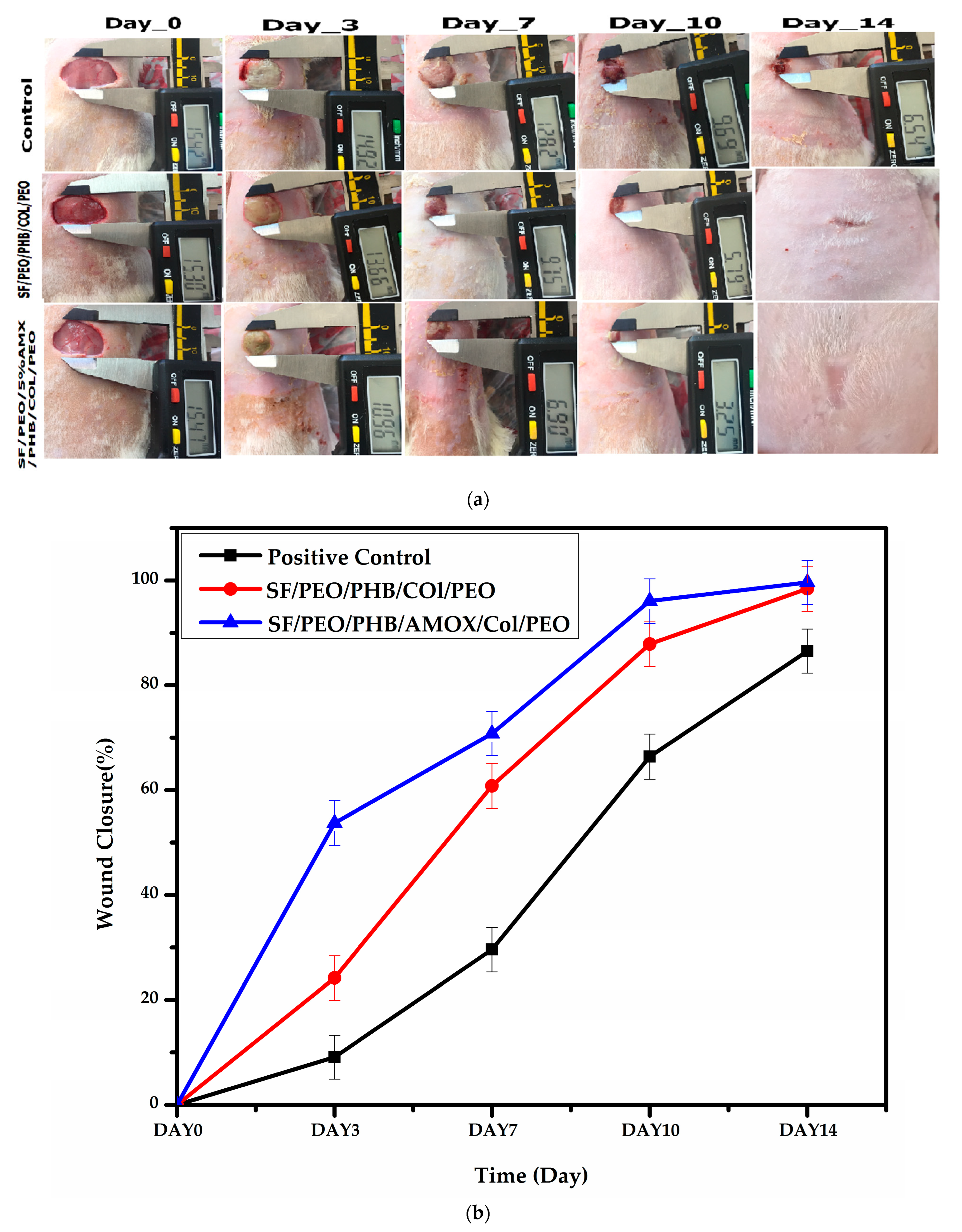 Pharmaceutics 15 01518 g007 Pharmaceutics 15 01518 g007