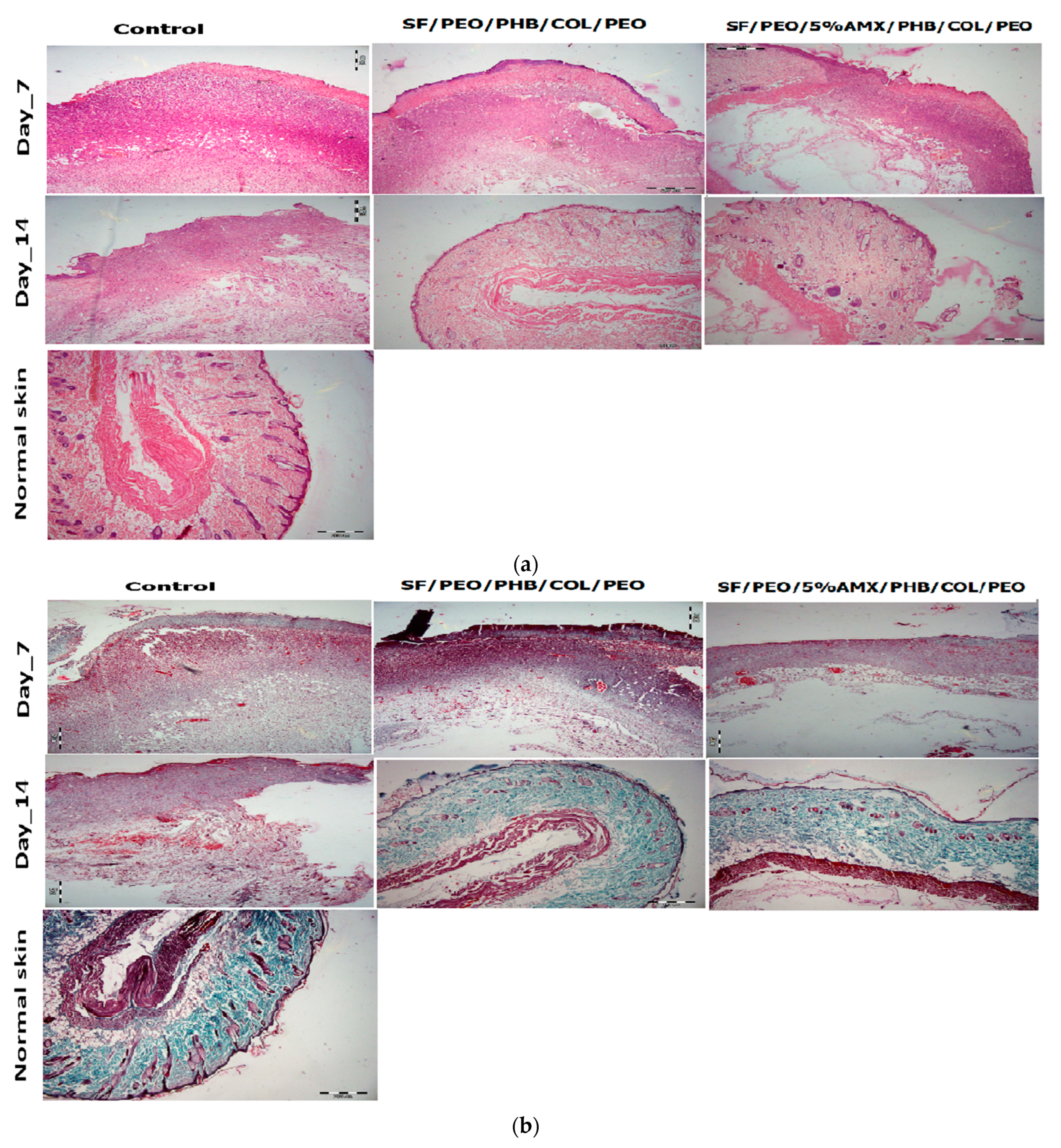 Pharmaceutics 15 01518 g008 Pharmaceutics 15 01518 g008