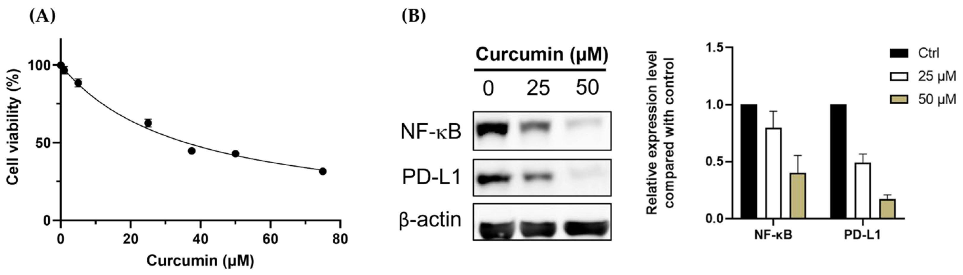 Pharmaceutics 15 01519 g002