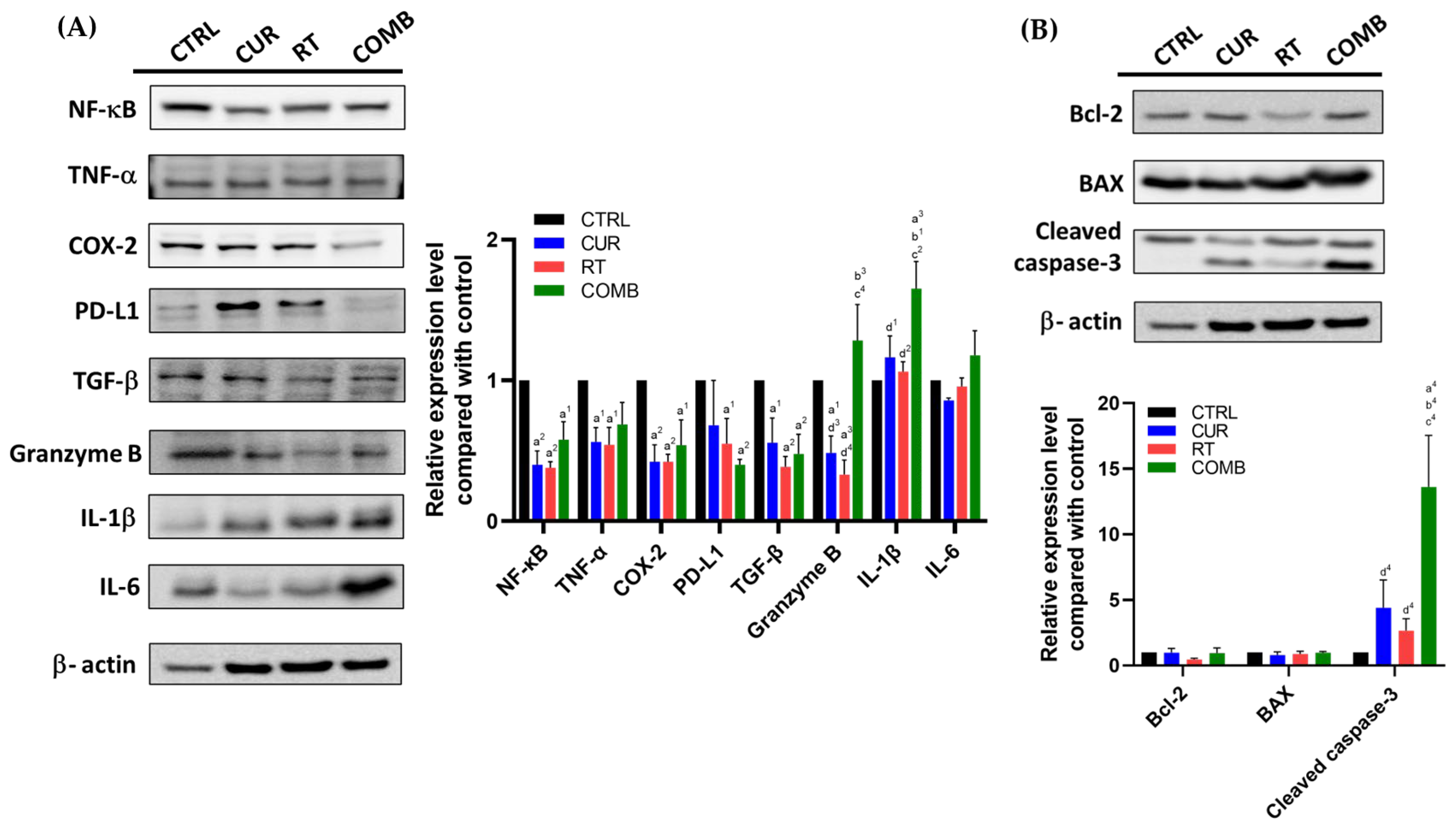 Pharmaceutics 15 01519 g005