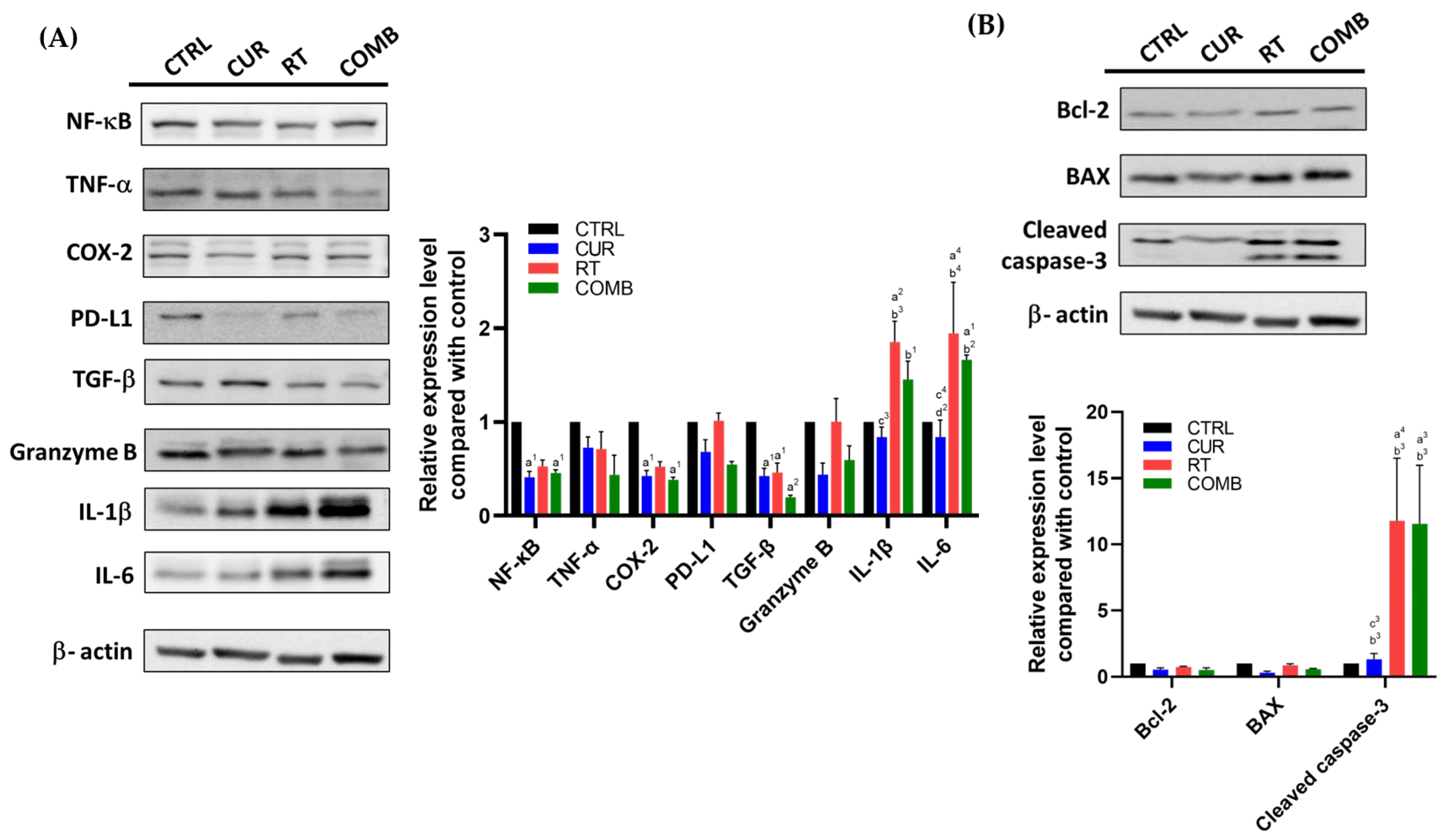 Pharmaceutics 15 01519 g006