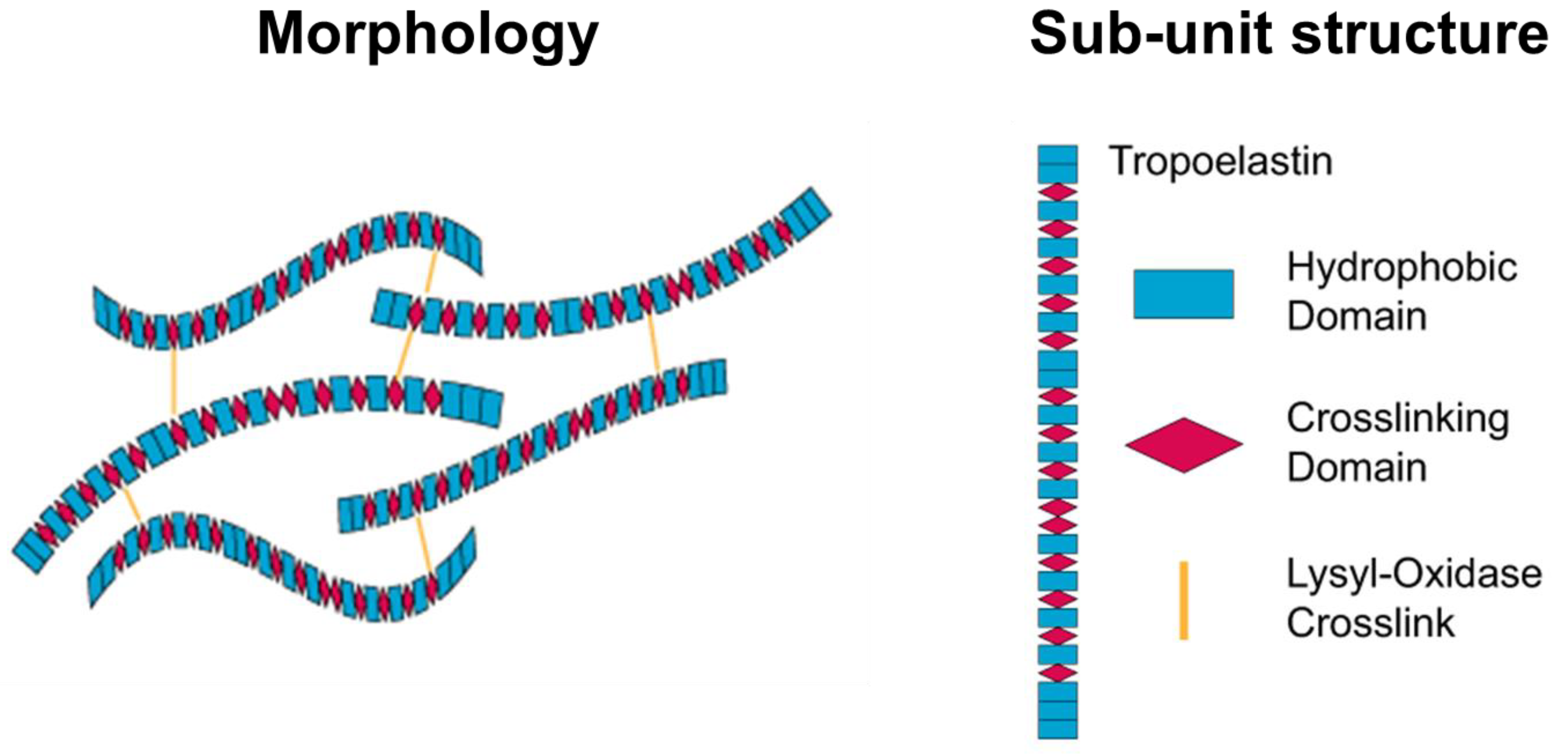 Pharmaceutics 15 01522 g004