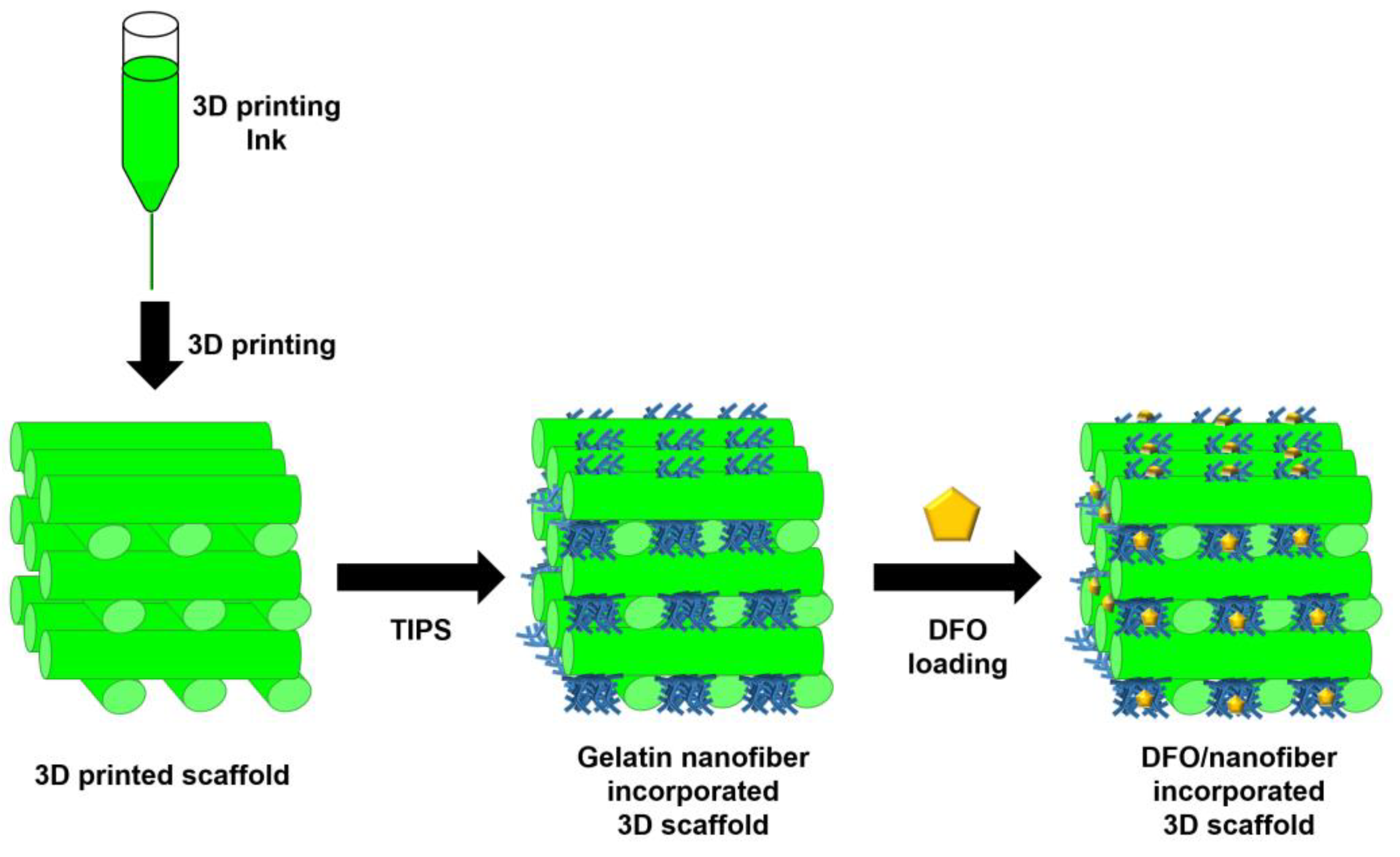 Pharmaceutics 15 01522 g014