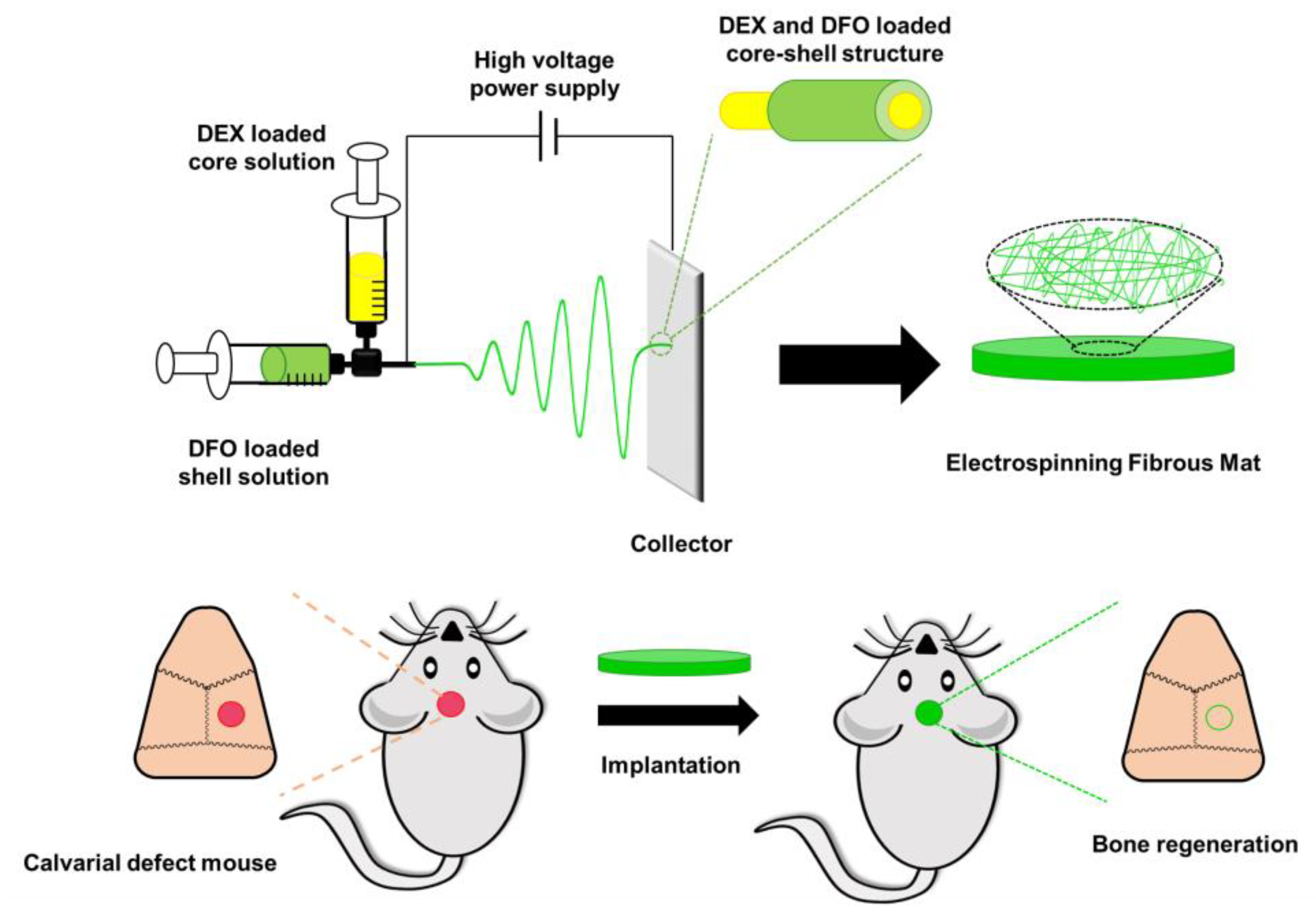 Pharmaceutics 15 01522 g015