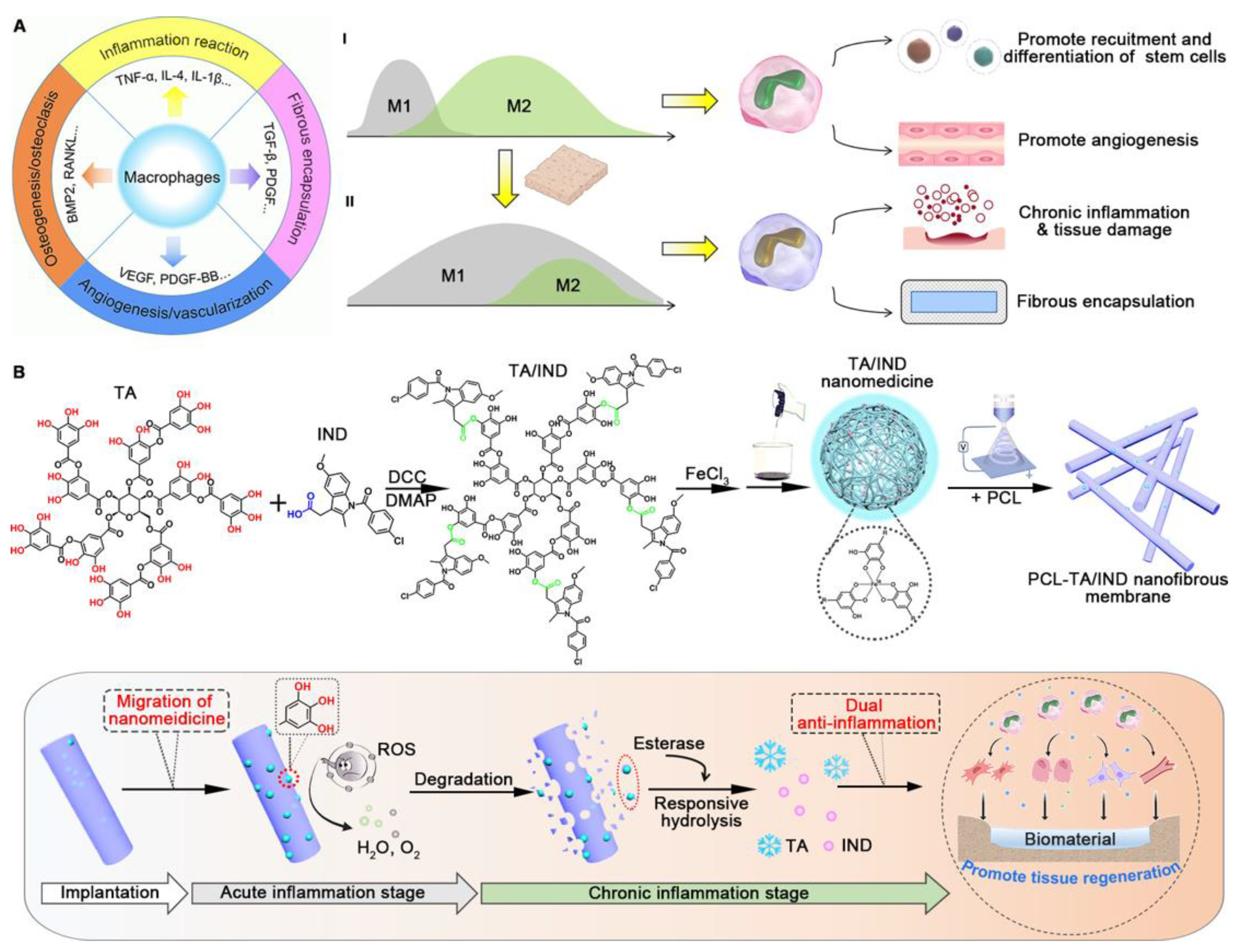 Pharmaceutics 15 01522 g017