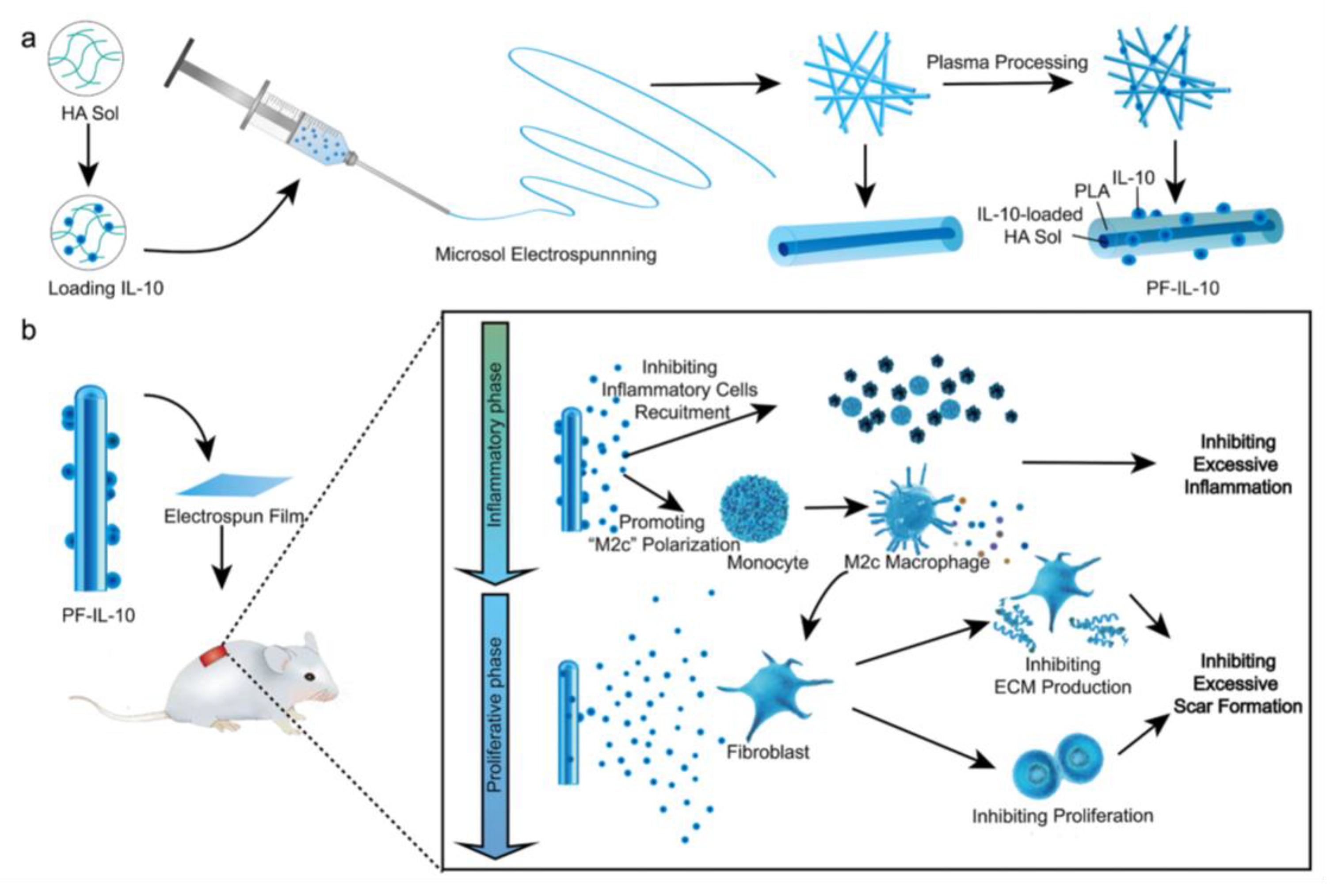 Pharmaceutics 15 01522 g019