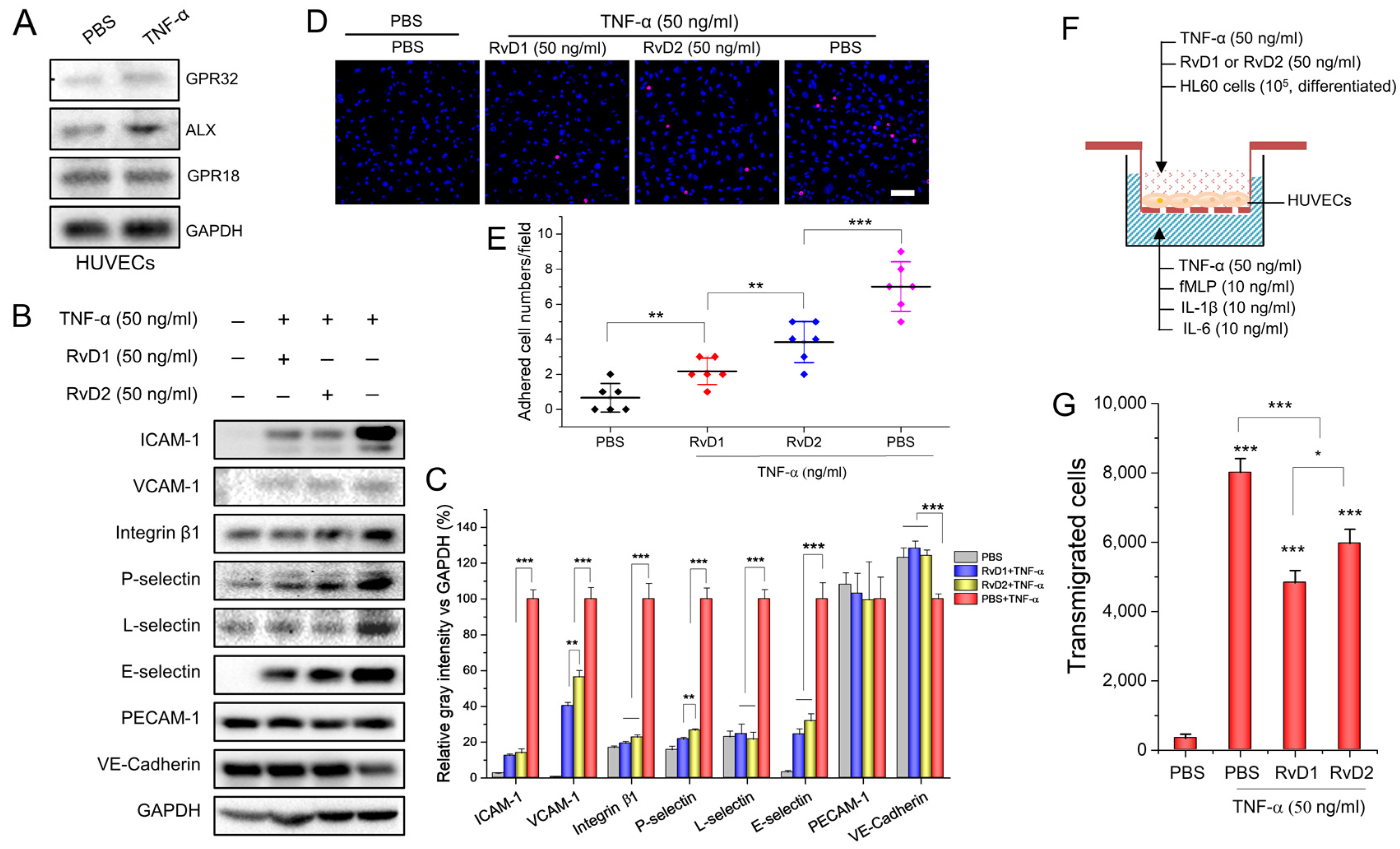 Pharmaceutics 15 01527 g001 Pharmaceutics 15 01527 g001