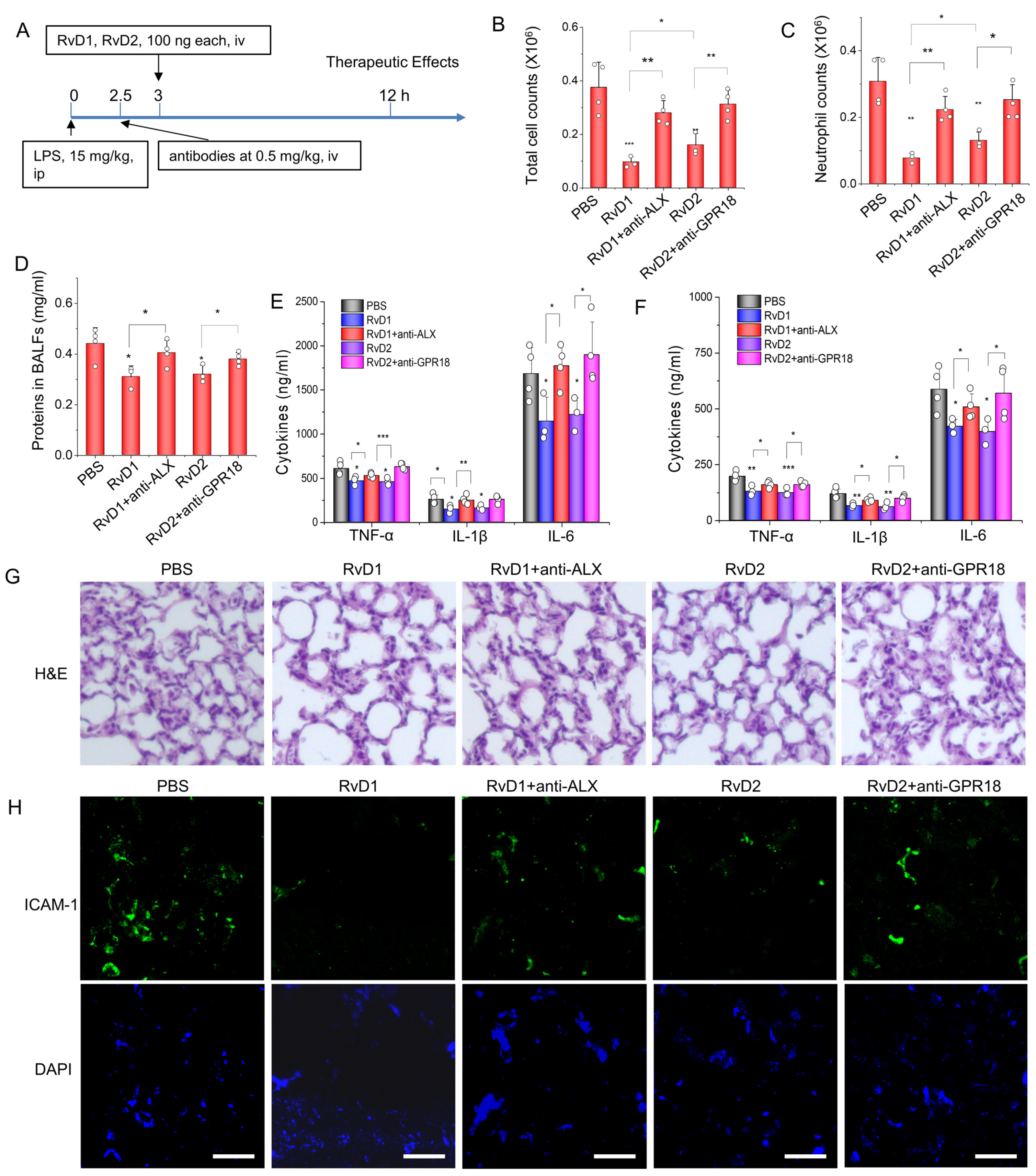 Pharmaceutics 15 01527 g003 Pharmaceutics 15 01527 g003
