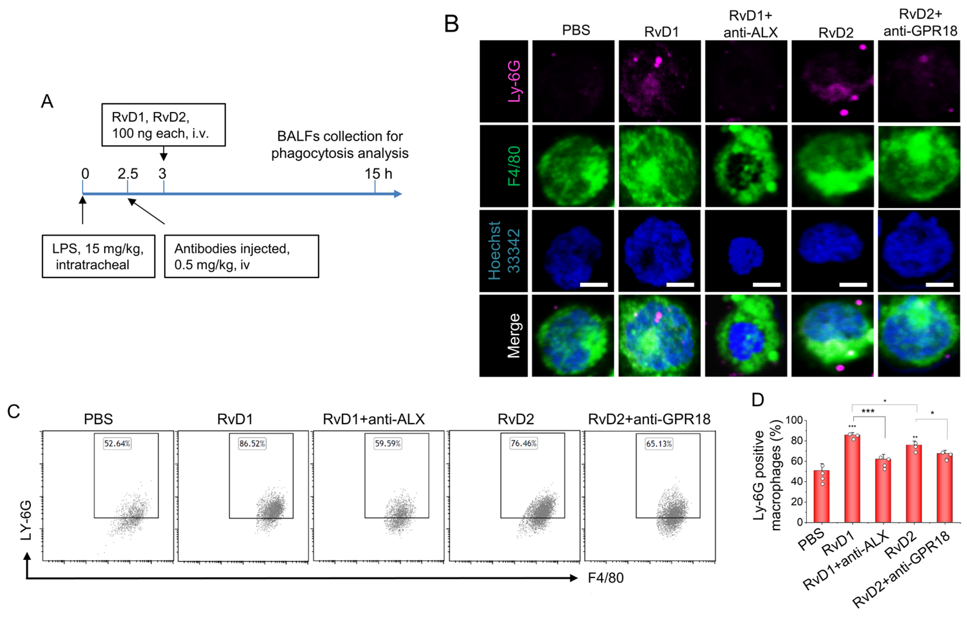 Pharmaceutics 15 01527 g004 Pharmaceutics 15 01527 g004