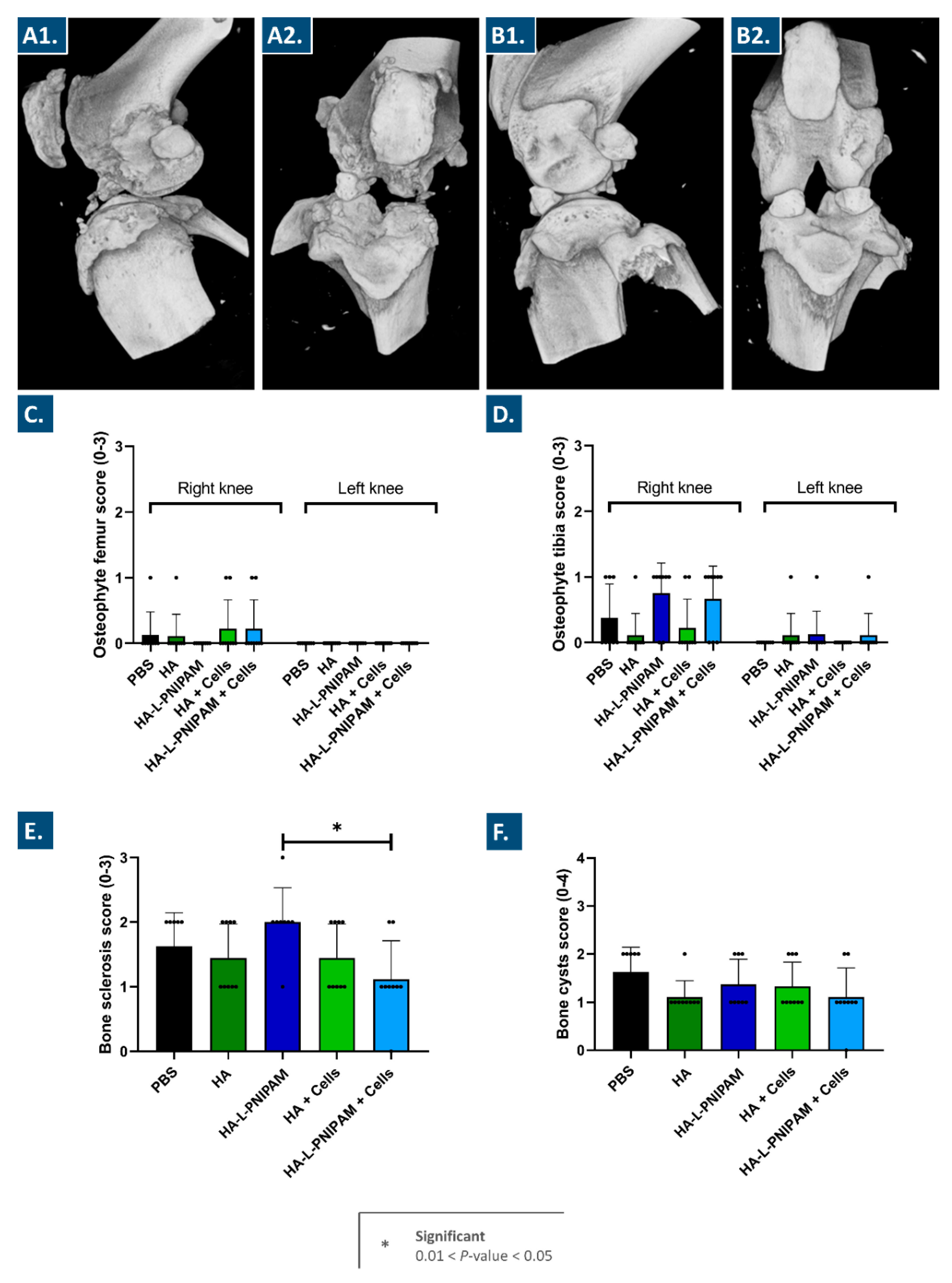 Pharmaceutics 15 01528 g003