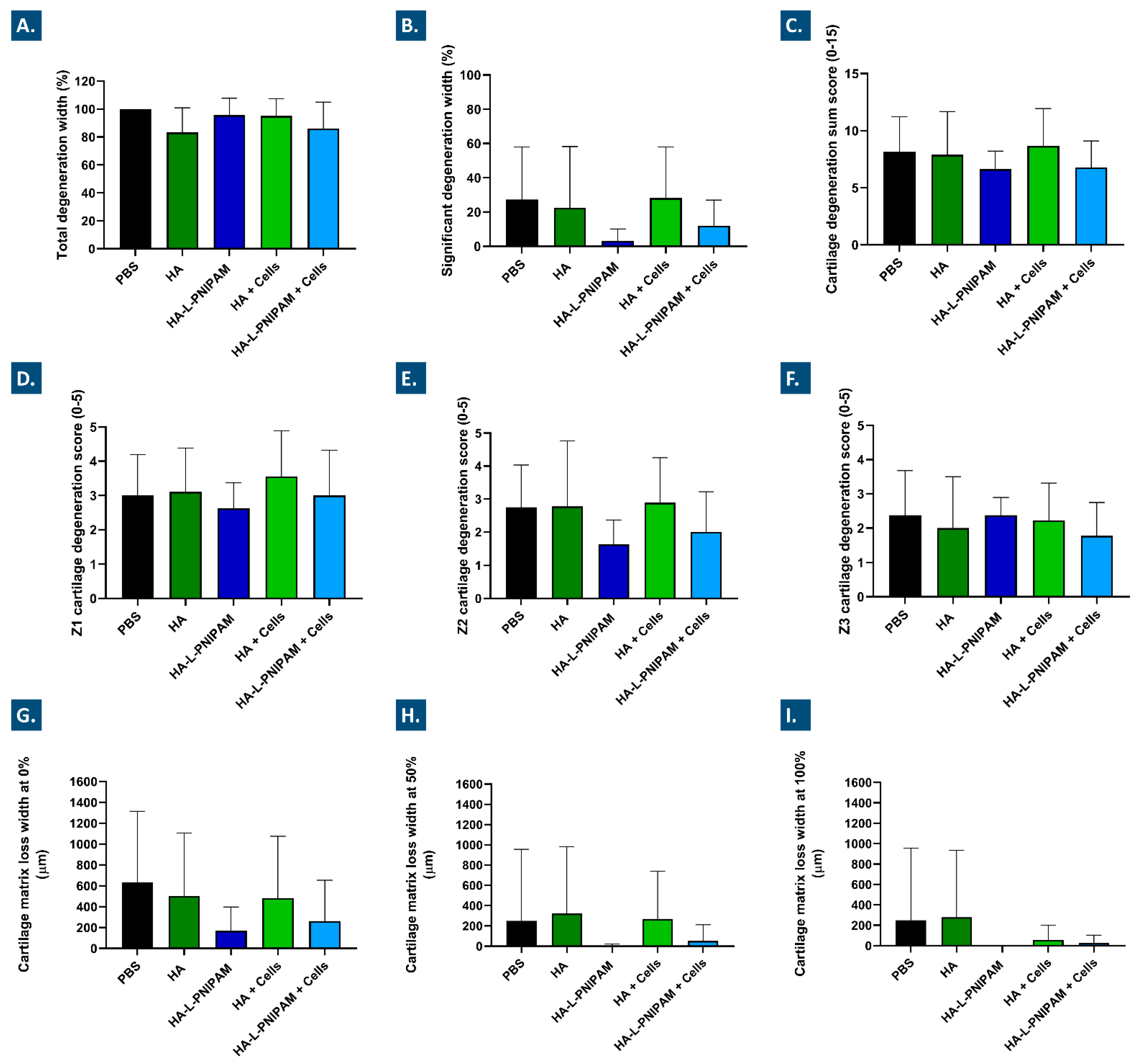 Pharmaceutics 15 01528 g006