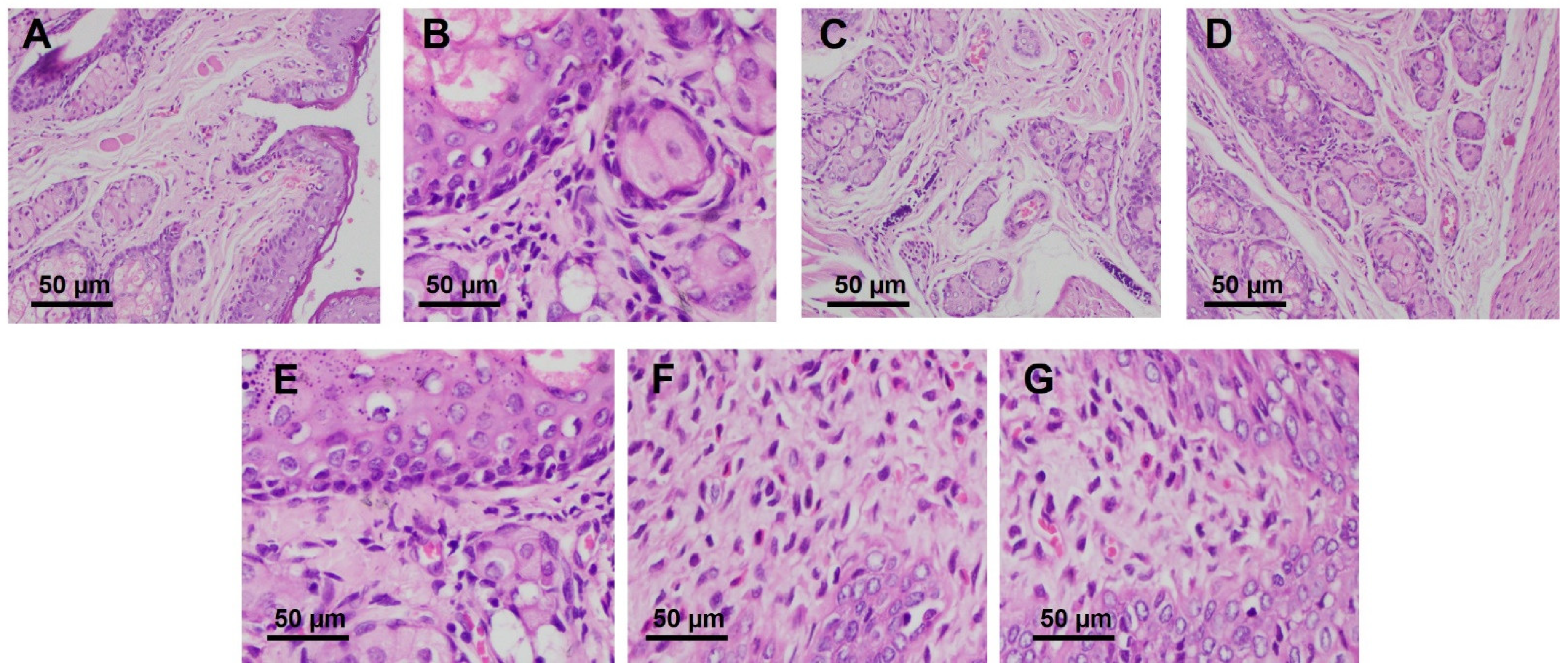 Pharmaceutics 15 01529 g006 Pharmaceutics 15 01529 g006