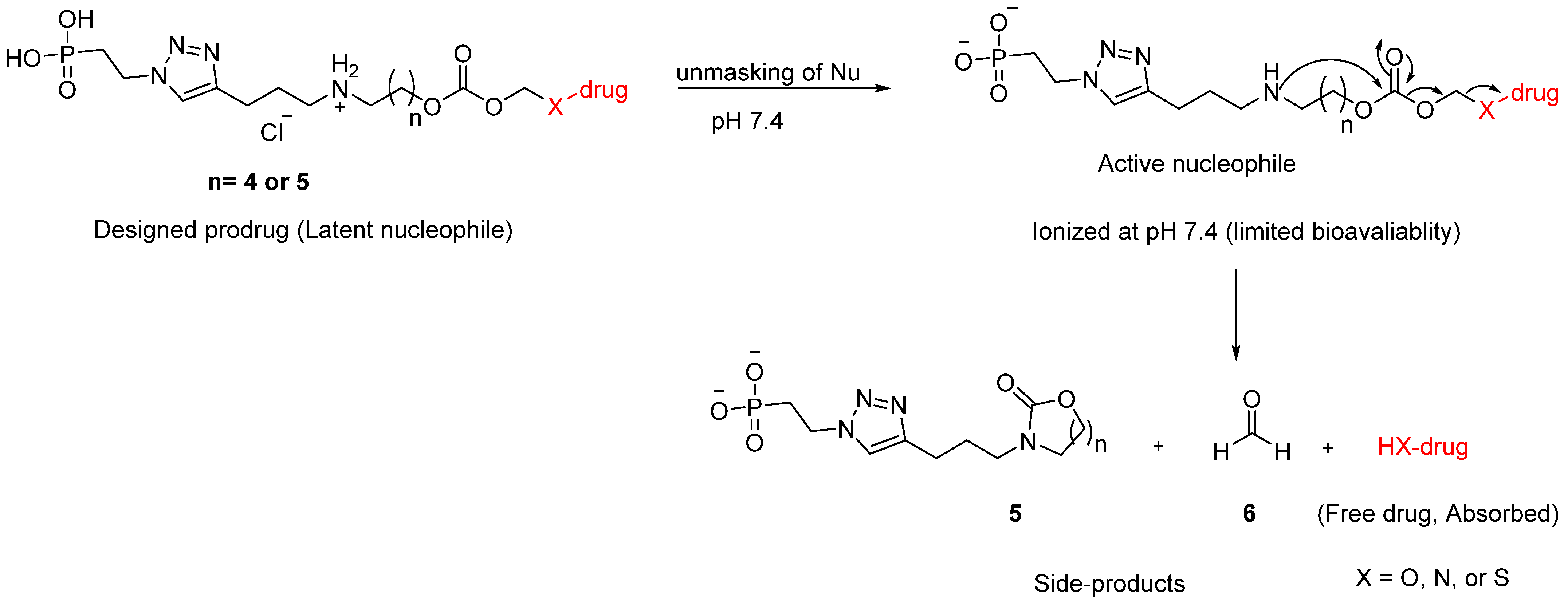 Pharmaceutics 15 01530 g002