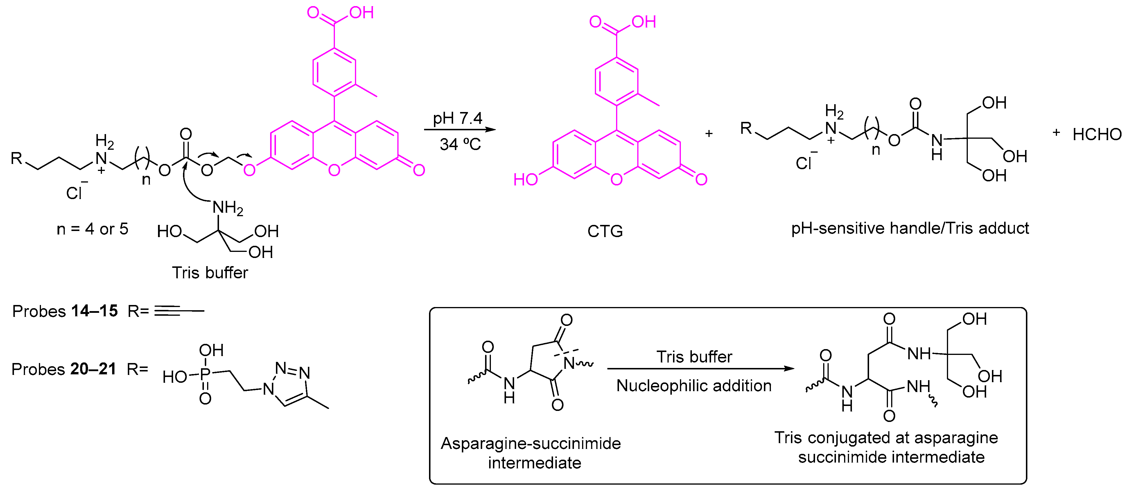 Pharmaceutics 15 01530 sch004