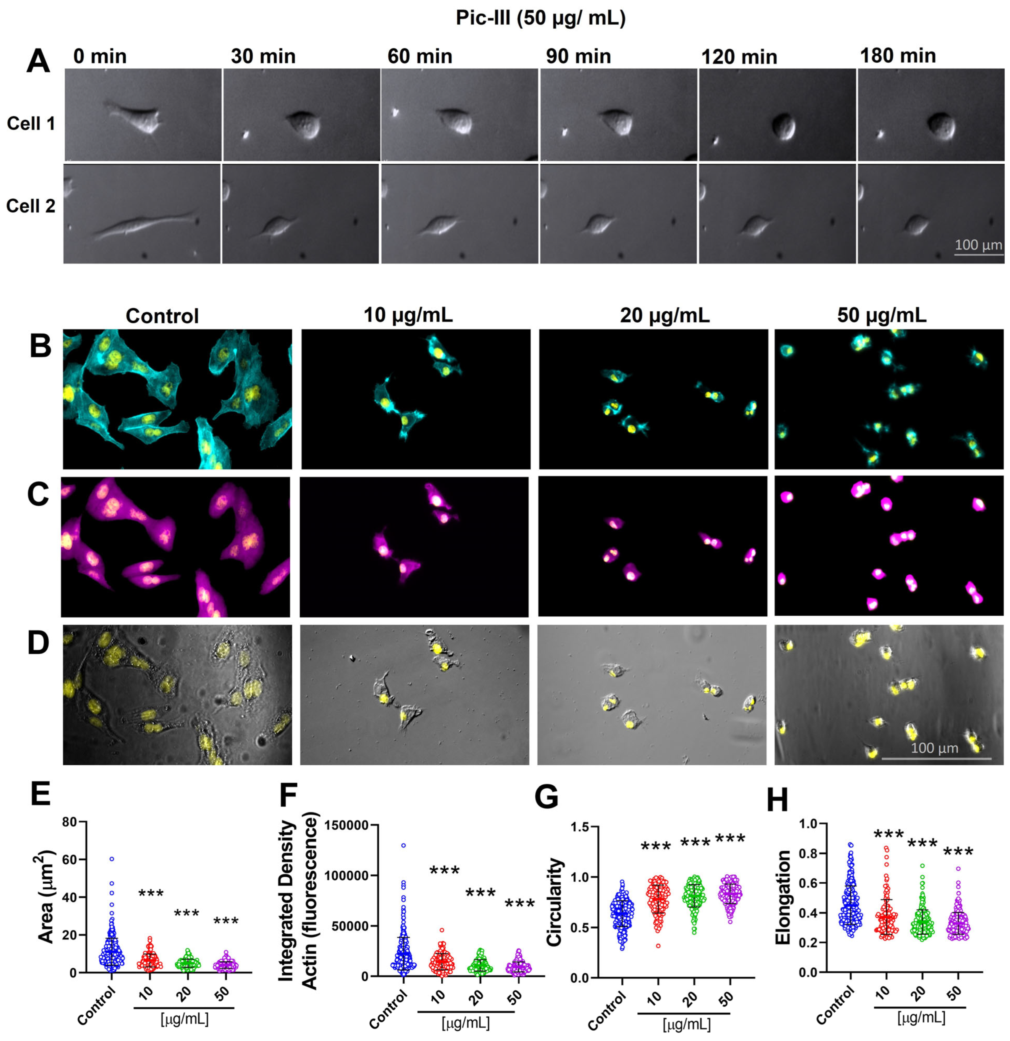 Pharmaceutics 15 01533 g007 Pharmaceutics 15 01533 g007