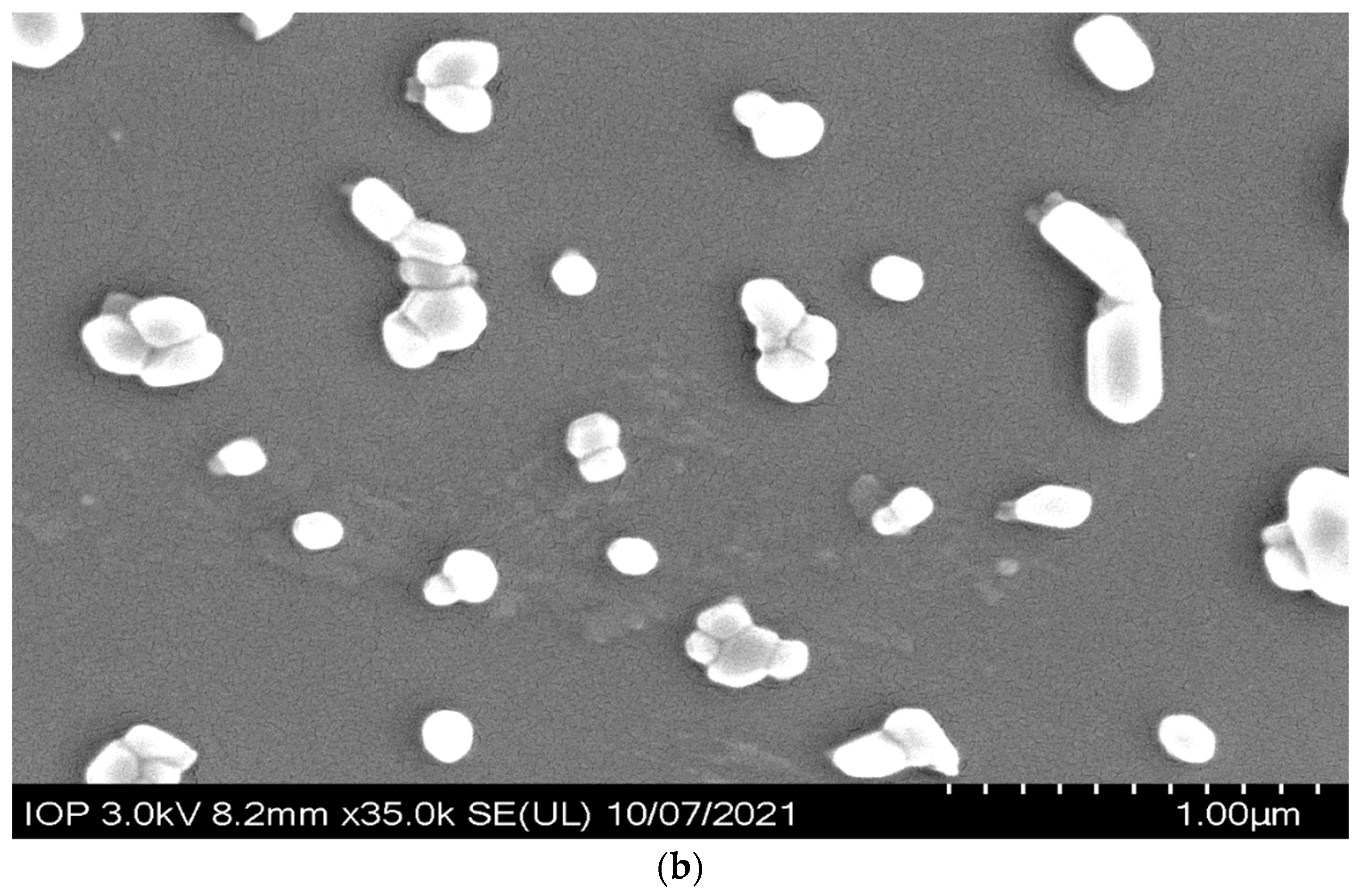 Pharmaceutics 15 01537 g001b
