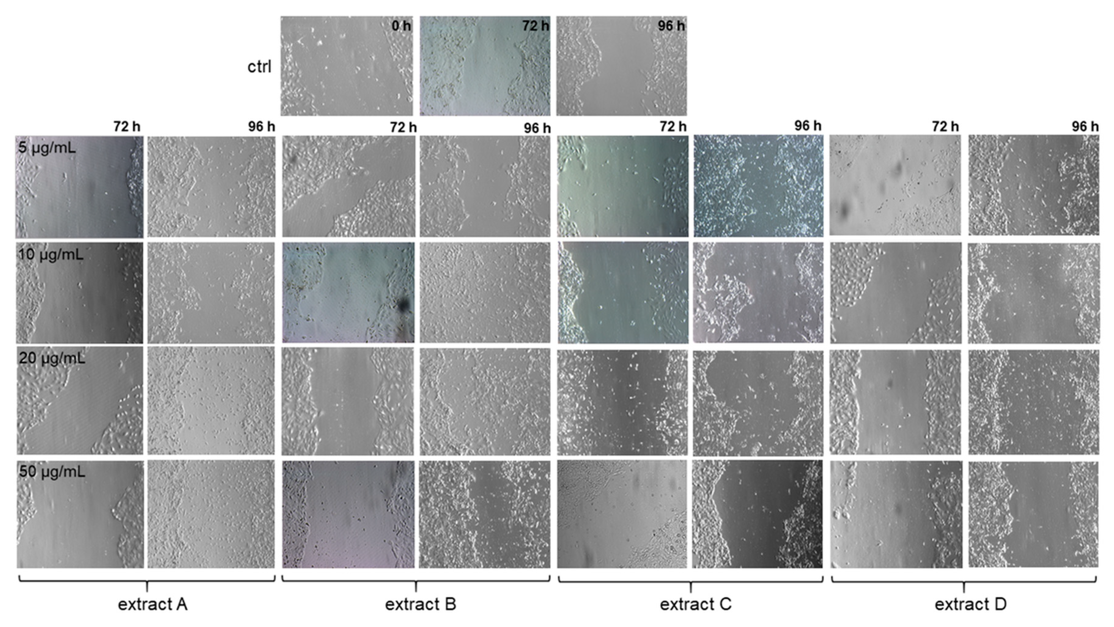 Pharmaceutics 15 01542 g004 Pharmaceutics 15 01542 g004