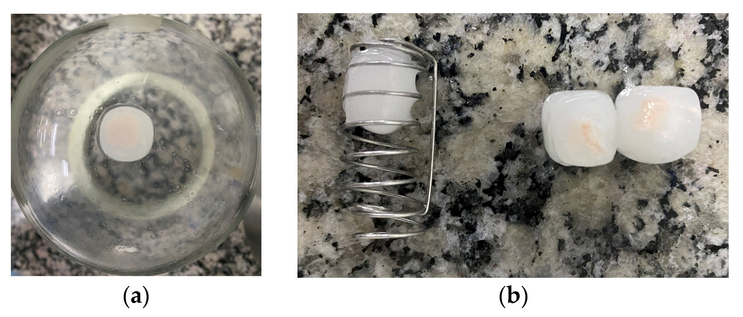 Pharmaceutics 15 01544 g006