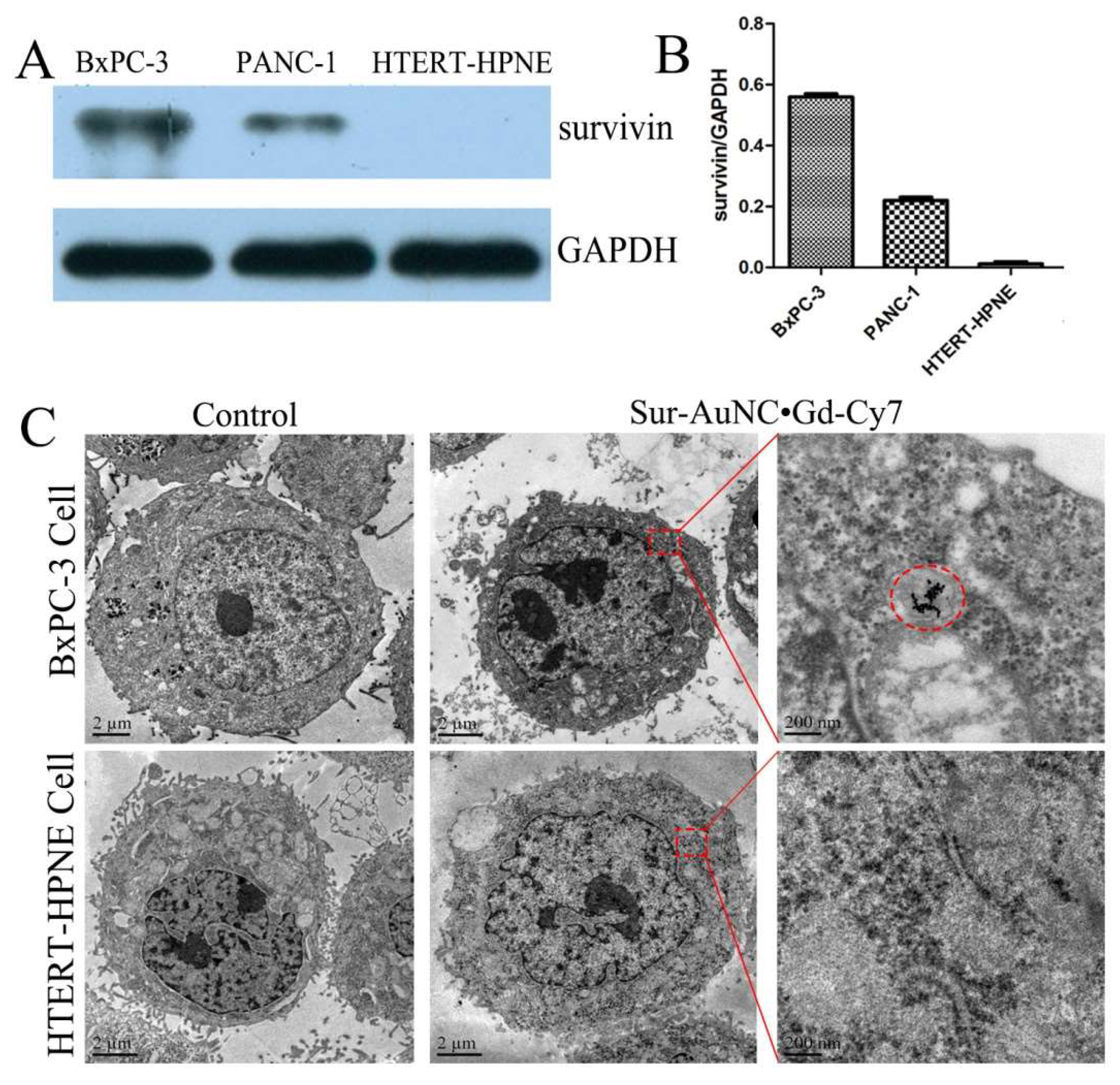Pharmaceutics 15 01547 g003