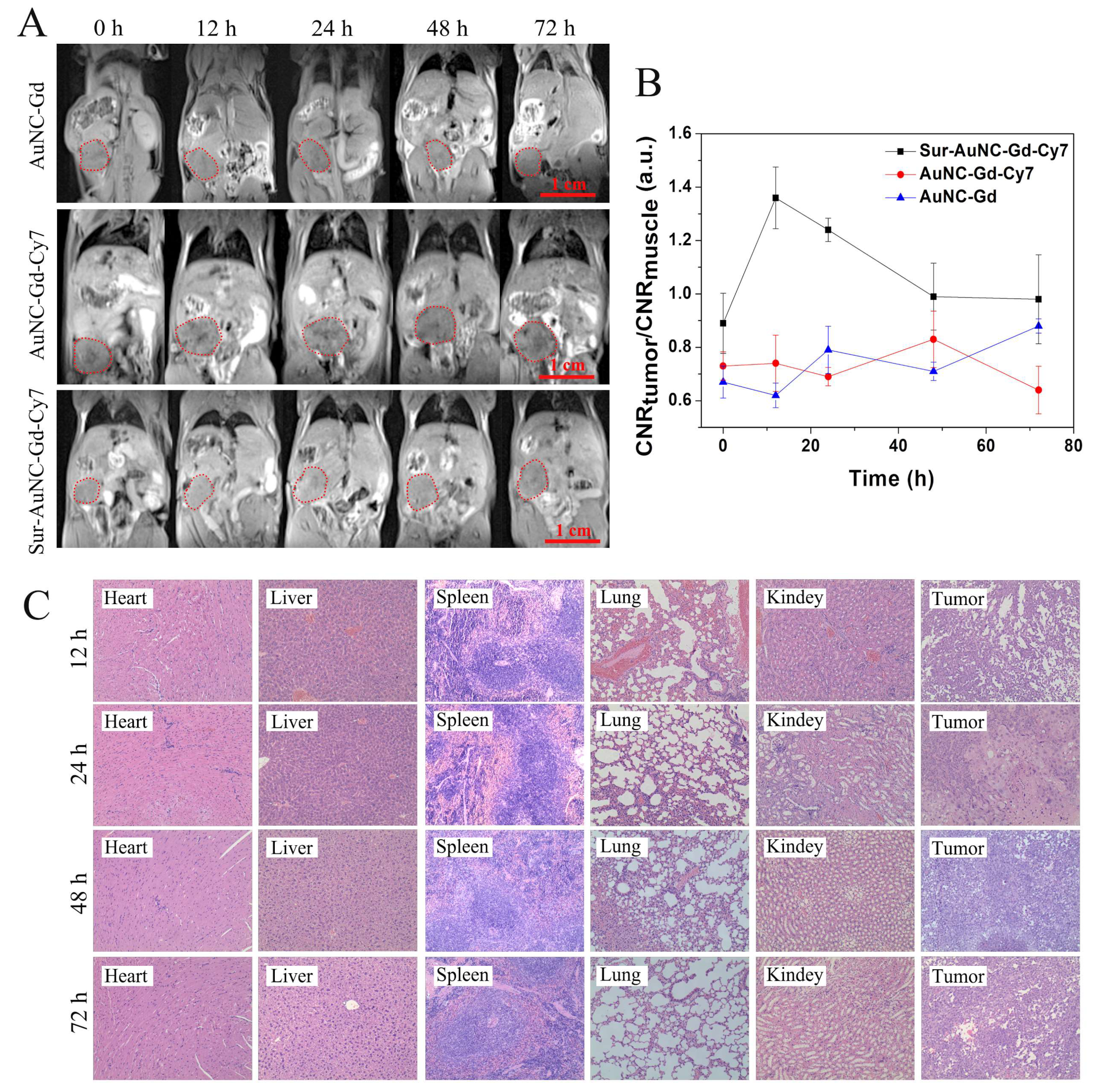 Pharmaceutics 15 01547 g007