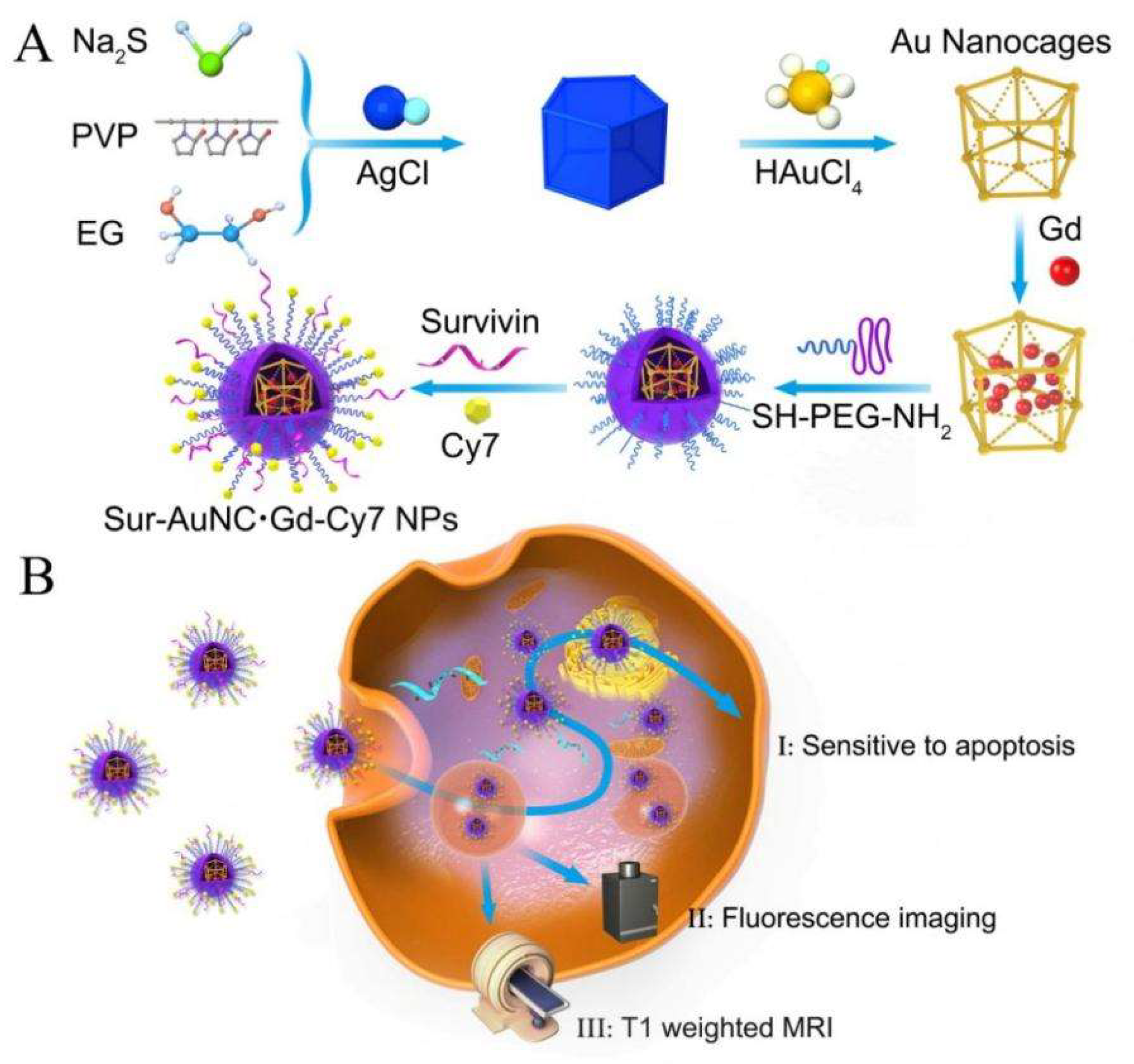 Pharmaceutics 15 01547 sch001