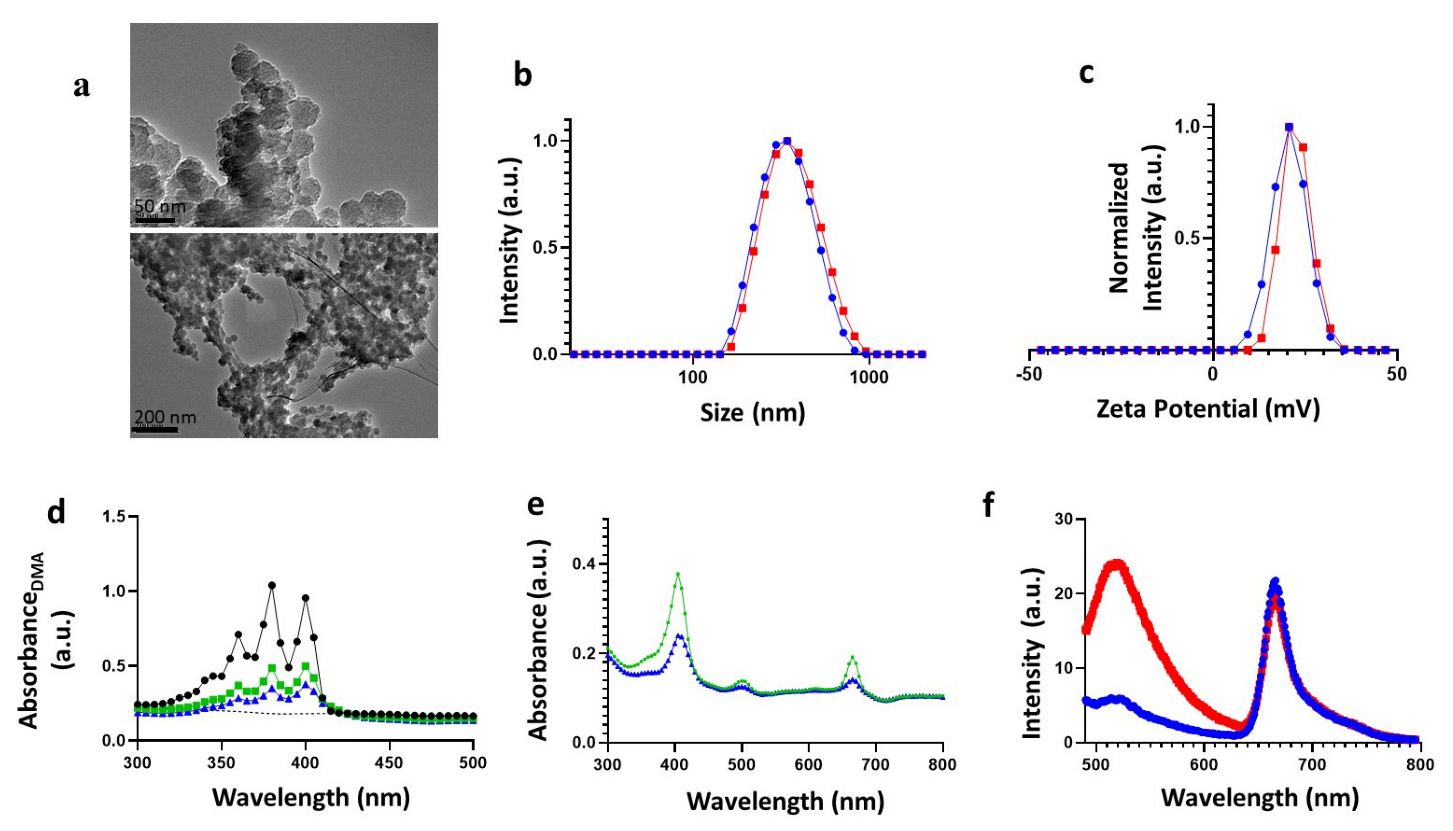 Pharmaceutics 15 01548 g001