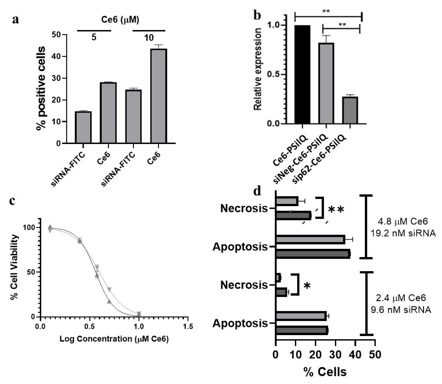 Pharmaceutics 15 01548 g004