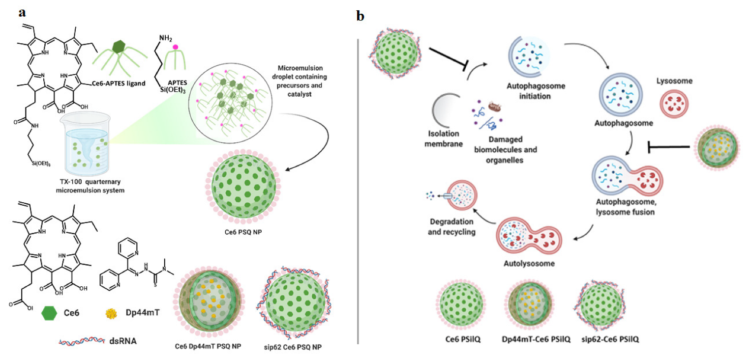 Pharmaceutics 15 01548 sch001