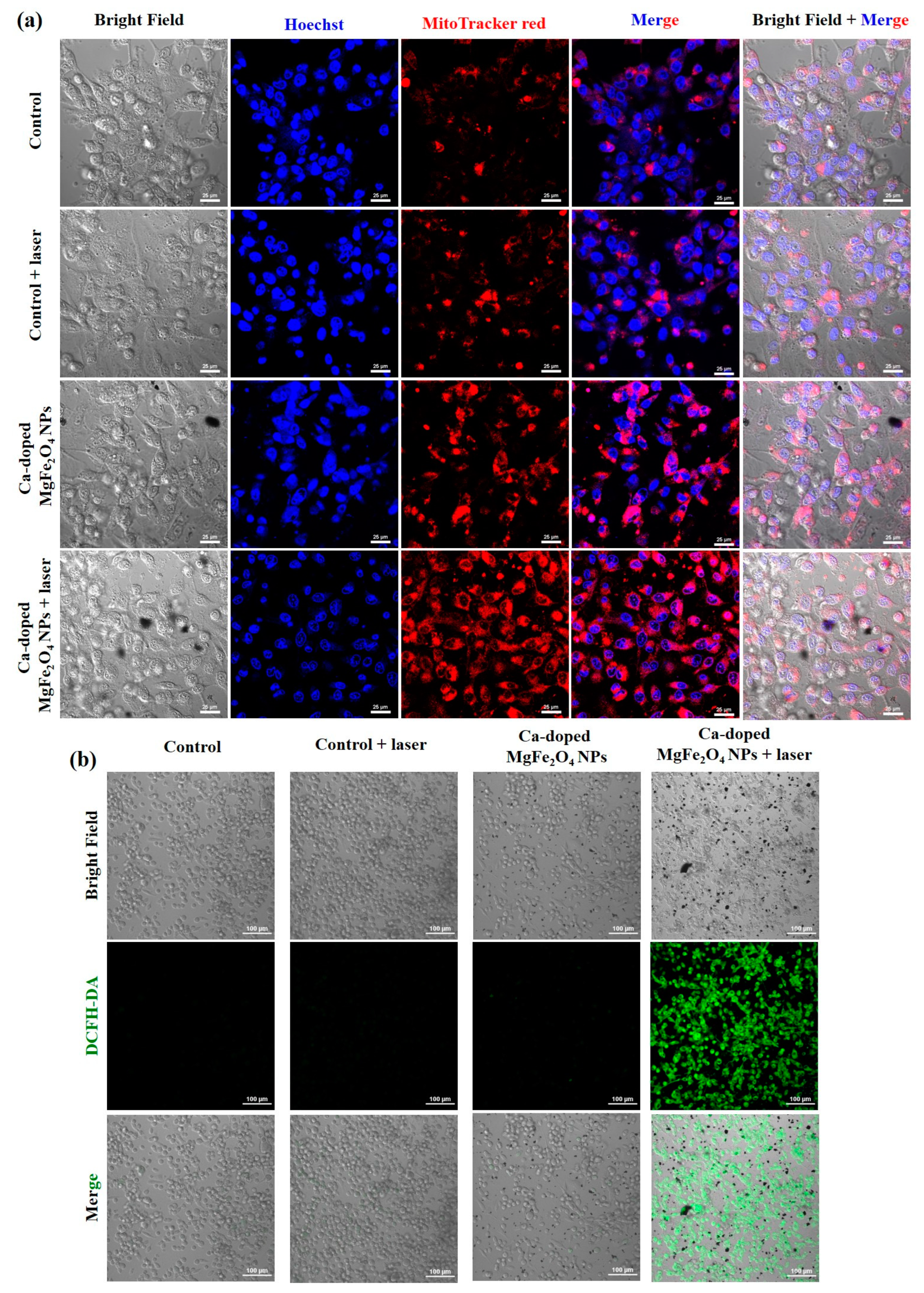 Pharmaceutics 15 01555 g006