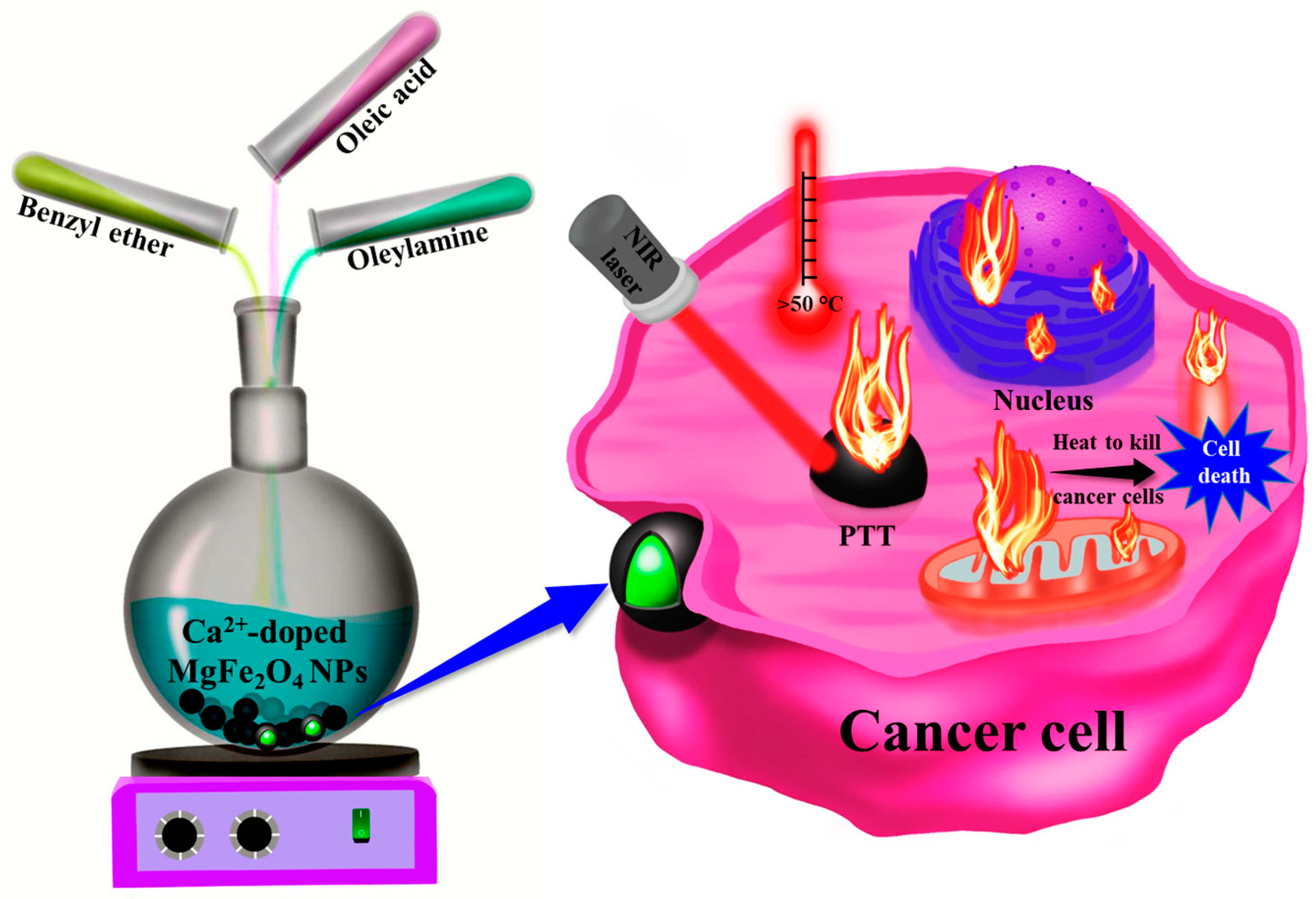 Pharmaceutics 15 01555 sch001