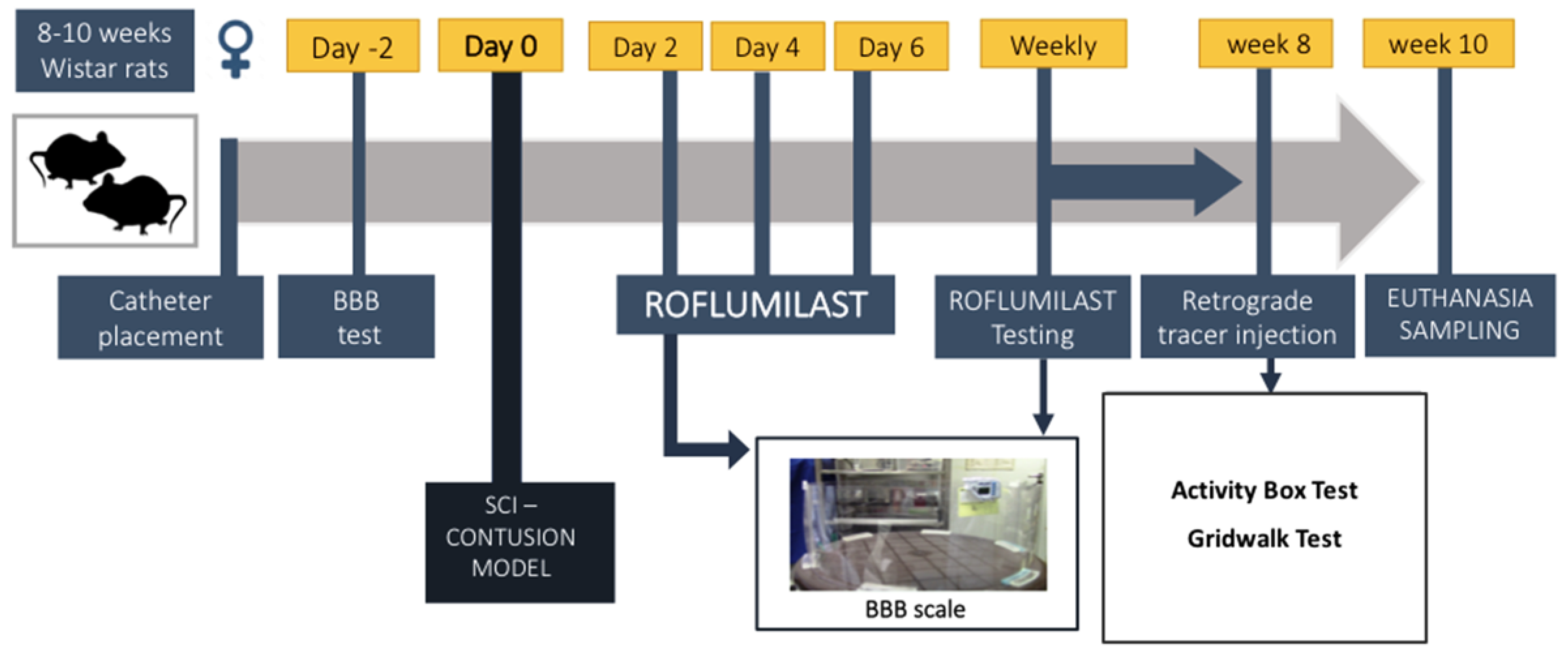 Pharmaceutics 15 01556 g001 Pharmaceutics 15 01556 g001