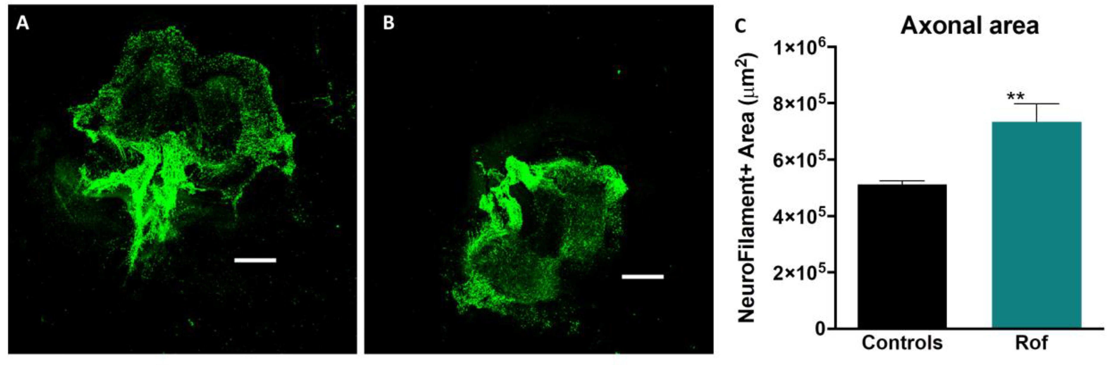 Pharmaceutics 15 01556 g003 Pharmaceutics 15 01556 g003