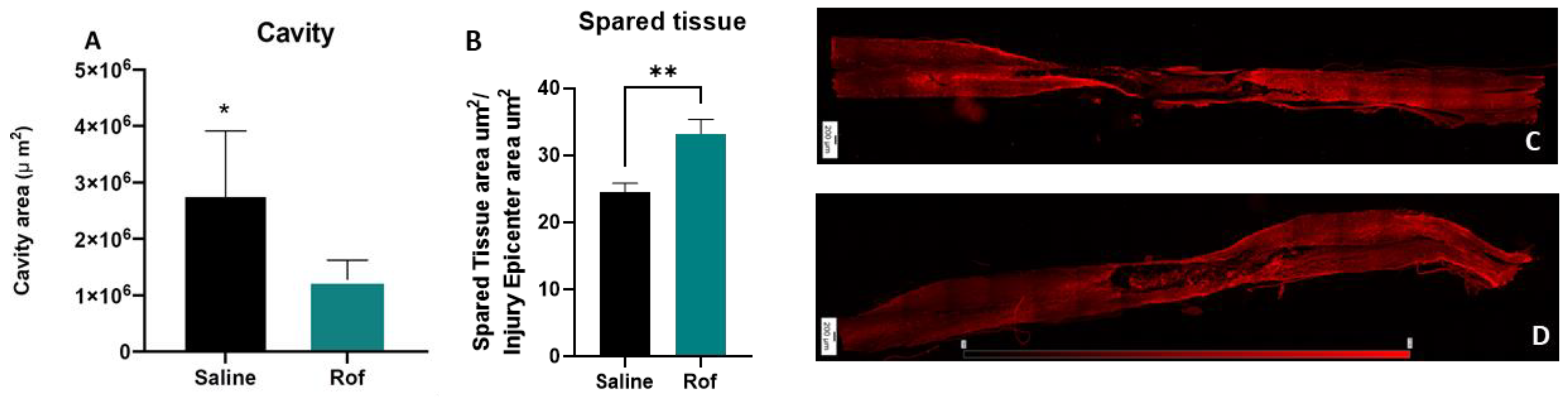 Pharmaceutics 15 01556 g006 Pharmaceutics 15 01556 g006