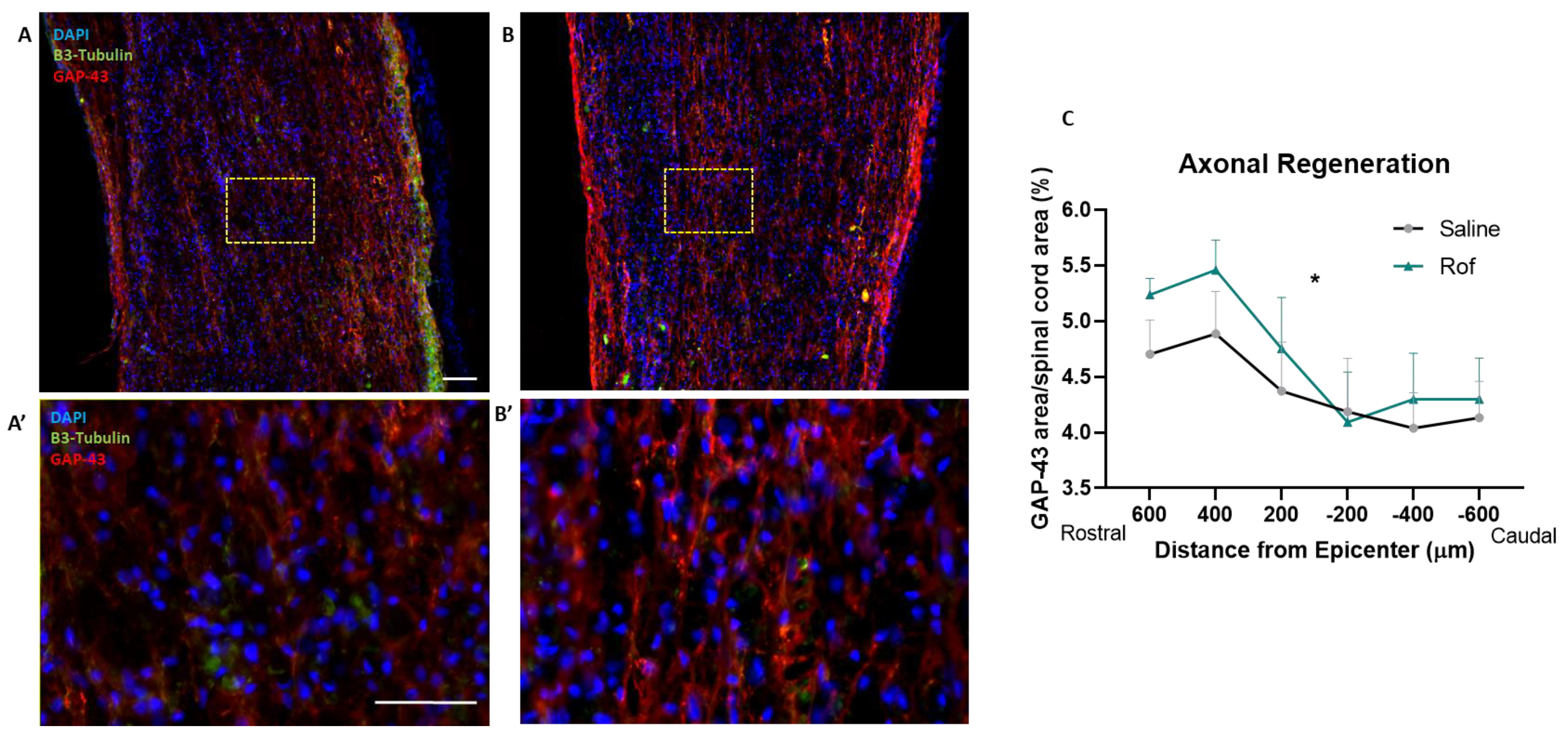 Pharmaceutics 15 01556 g008 Pharmaceutics 15 01556 g008