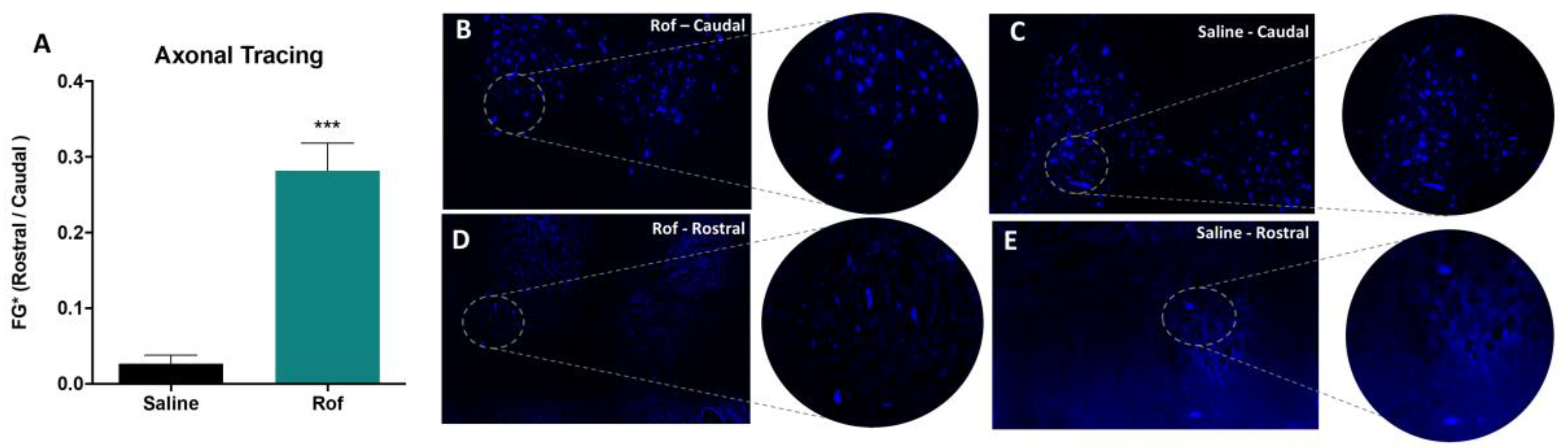 Pharmaceutics 15 01556 g009 Pharmaceutics 15 01556 g009