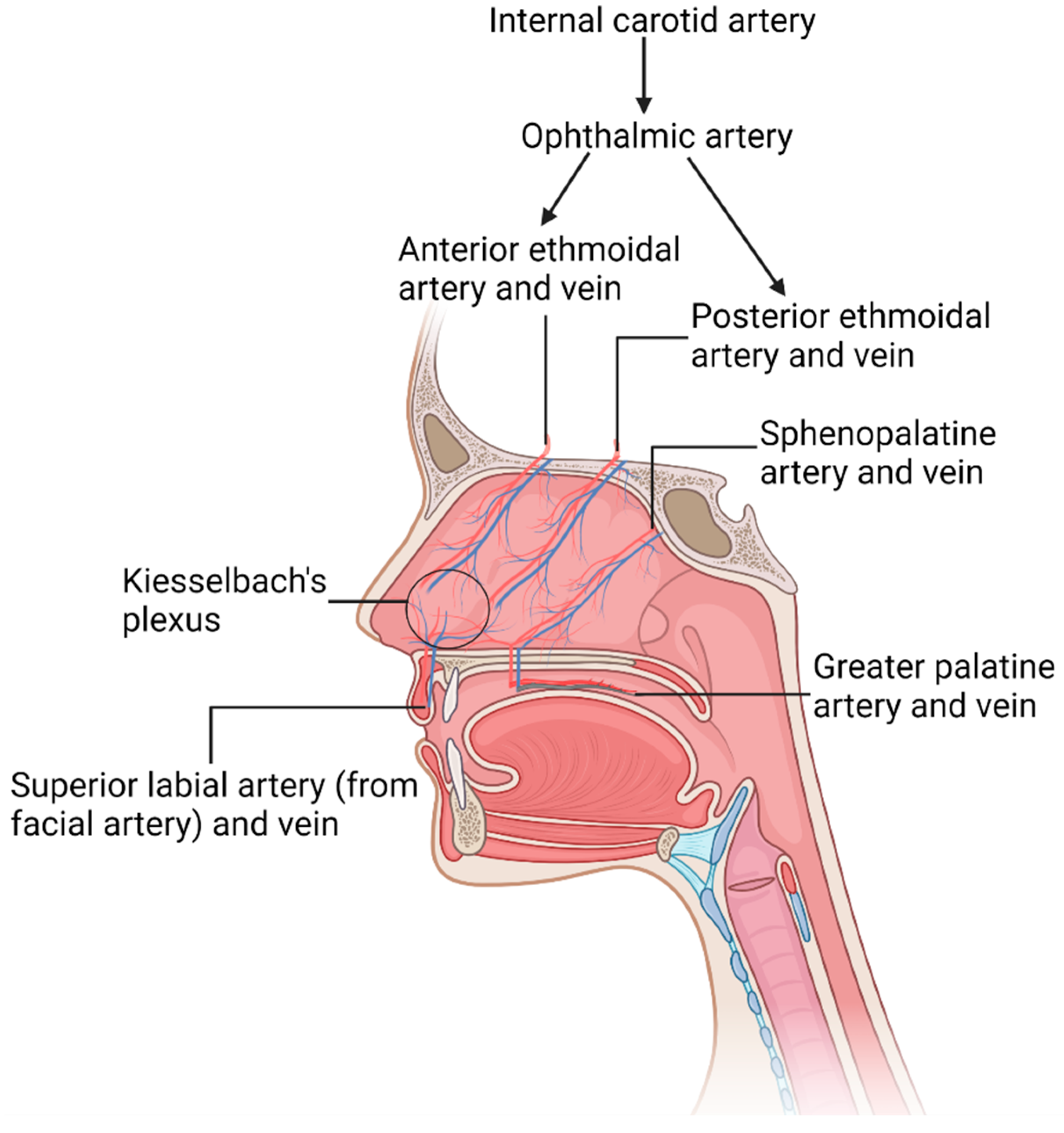 Pharmaceutics 15 01557 g002 Pharmaceutics 15 01557 g002