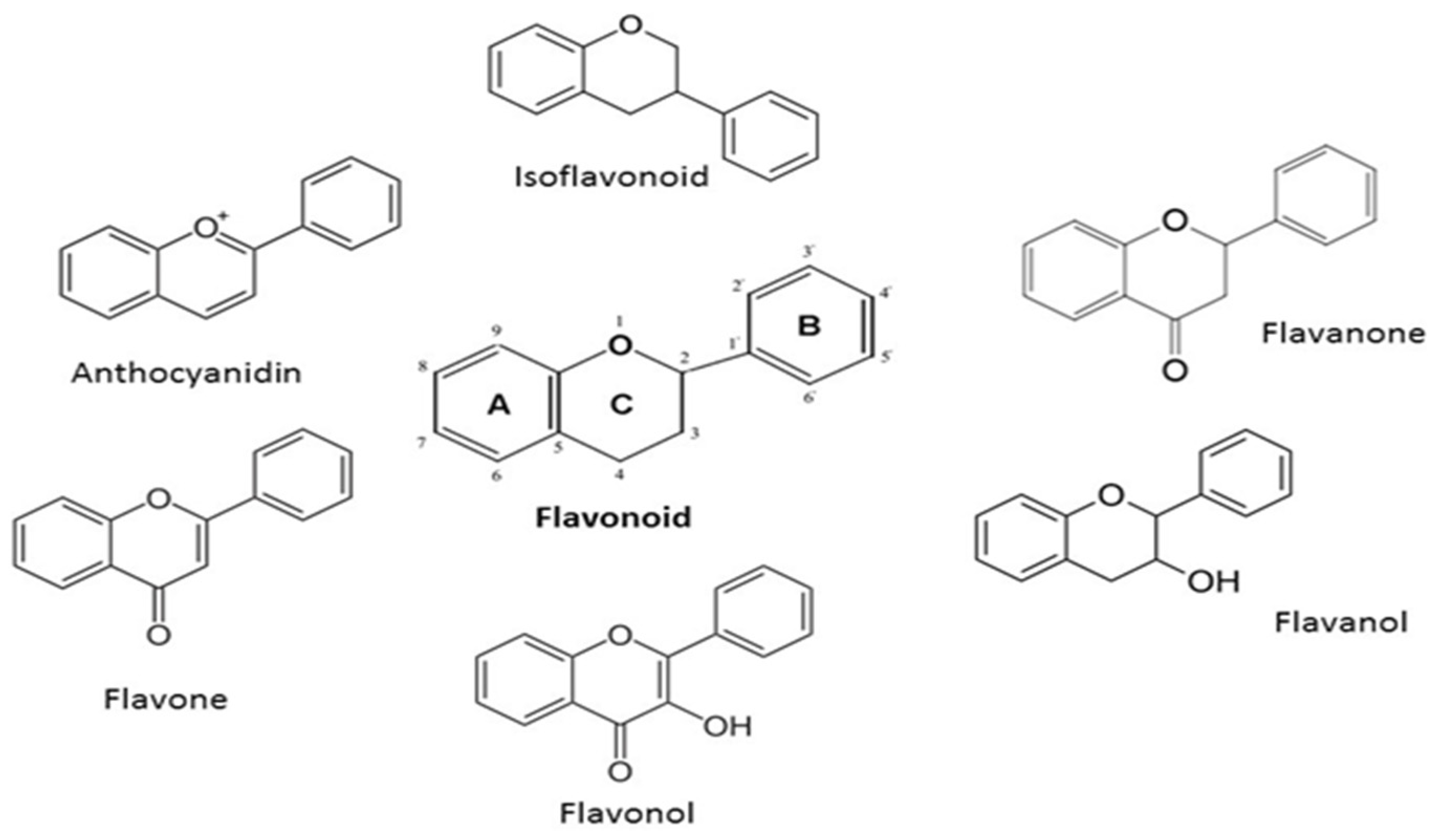 Pharmaceutics 15 01558 g006