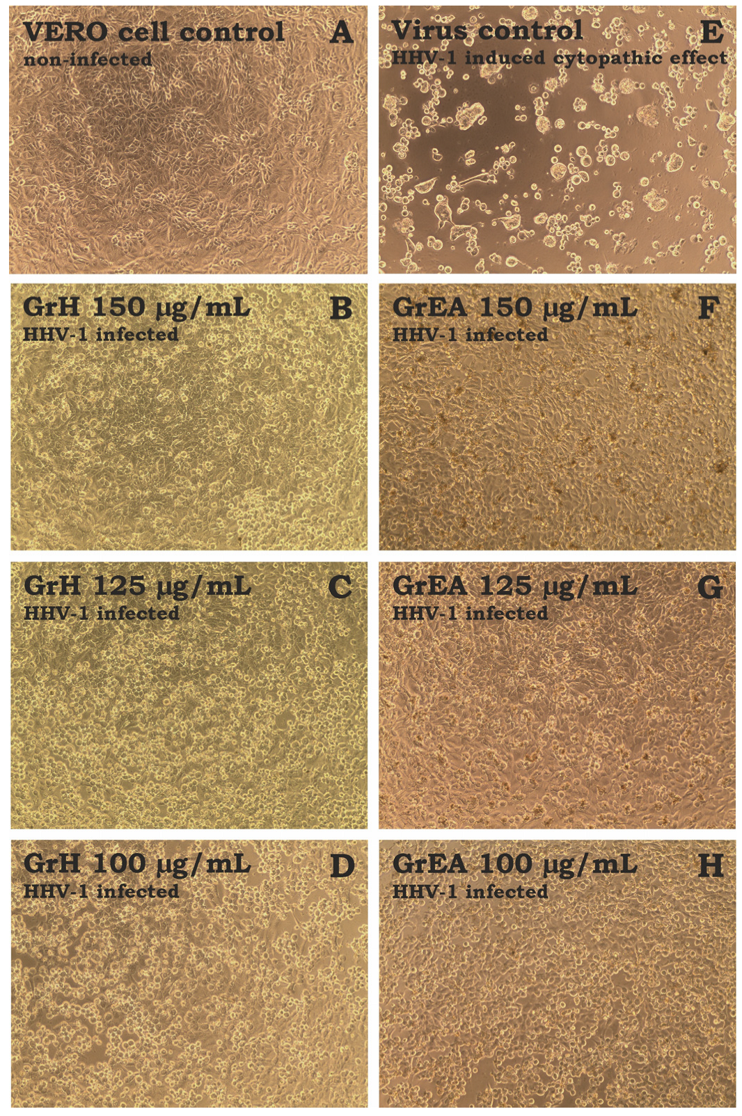 Pharmaceutics 15 01561 g004 Pharmaceutics 15 01561 g004