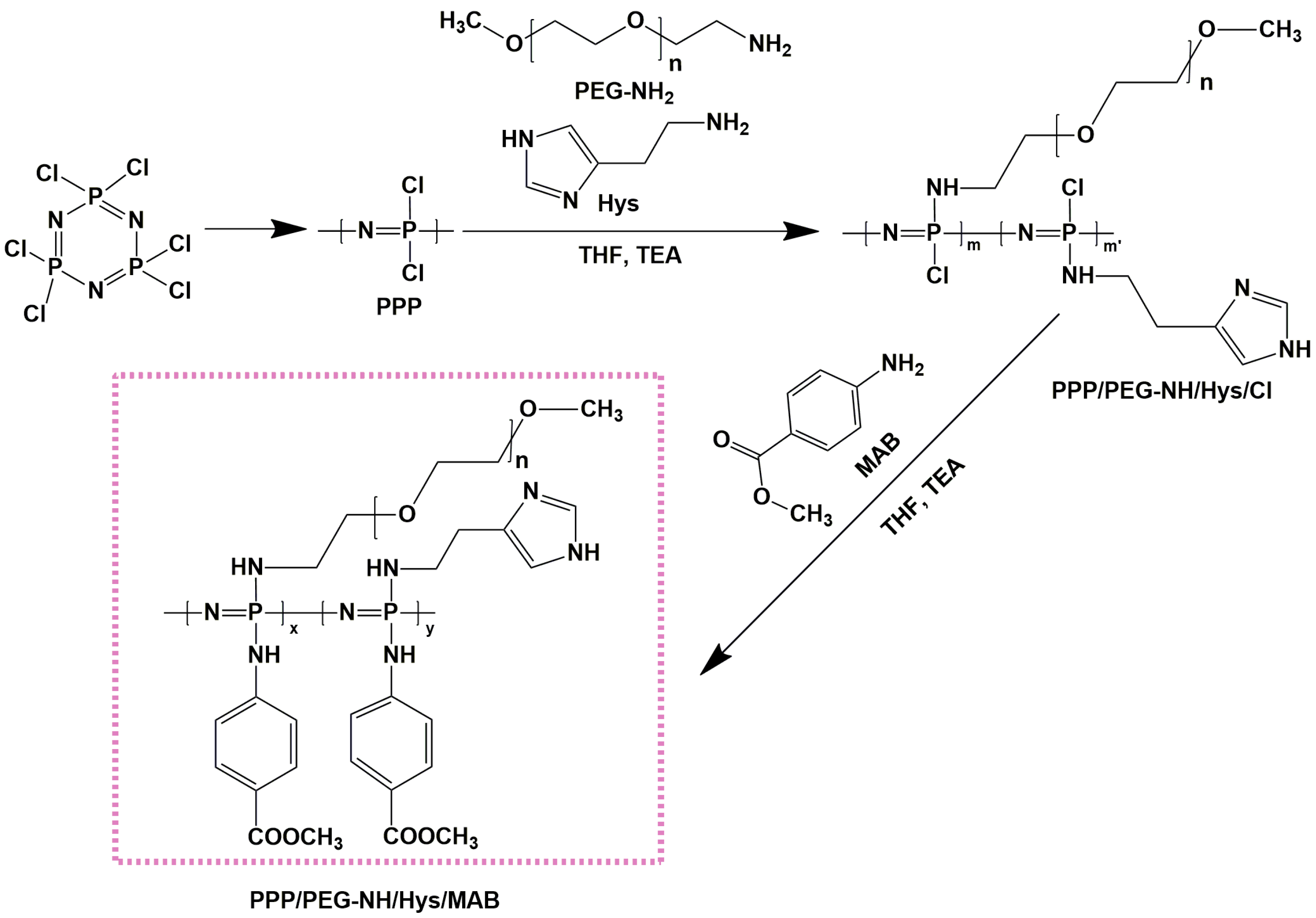 Pharmaceutics 15 01564 sch001