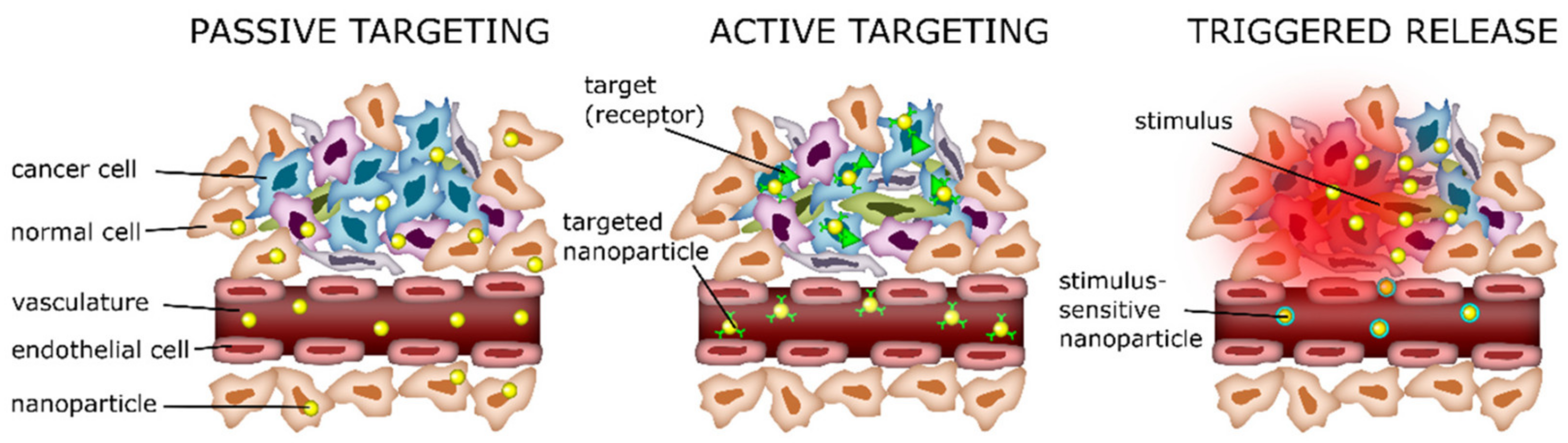 Pharmaceutics 15 01566 g001 Pharmaceutics 15 01566 g001