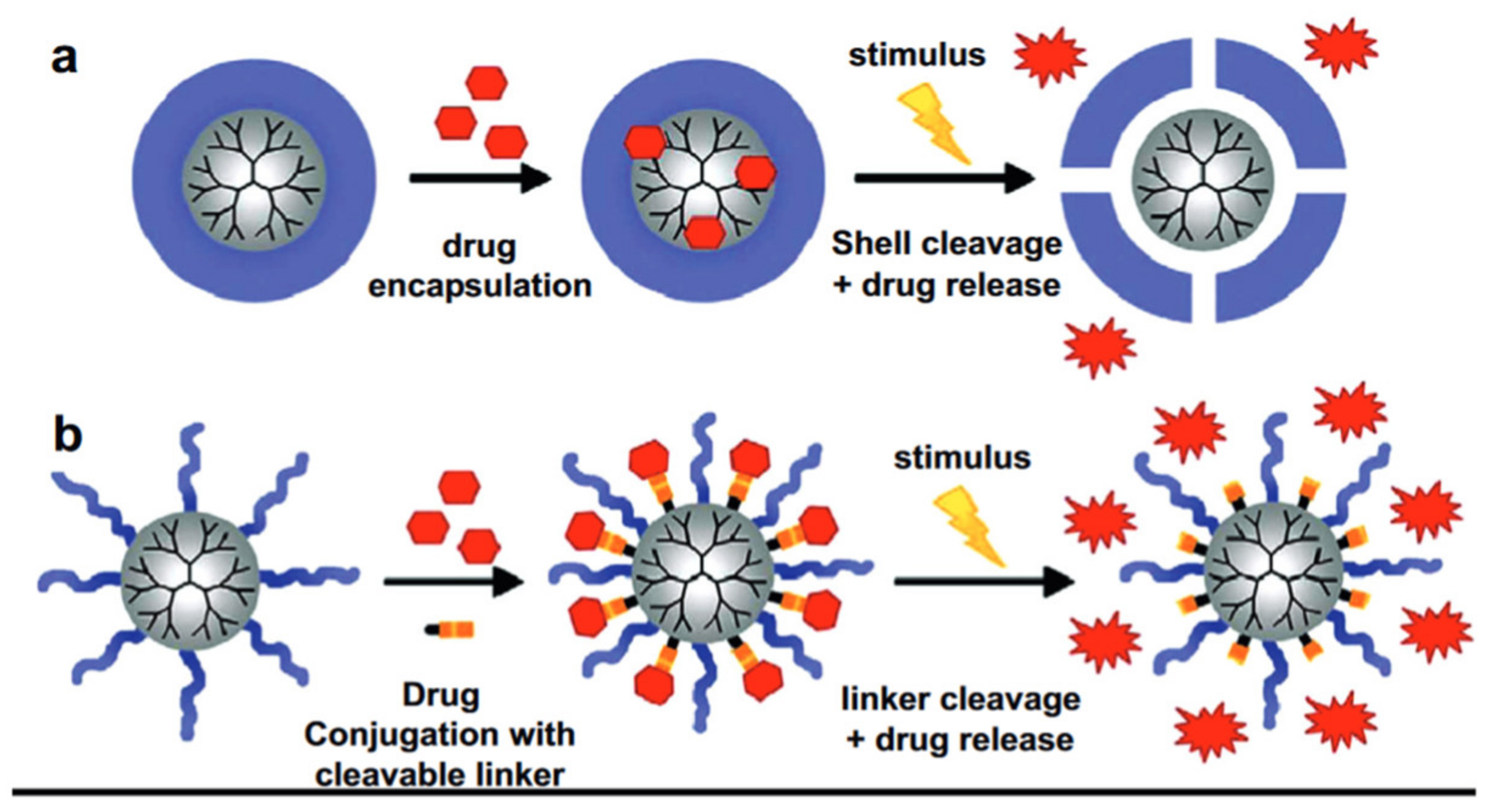 Pharmaceutics 15 01566 g002 Pharmaceutics 15 01566 g002