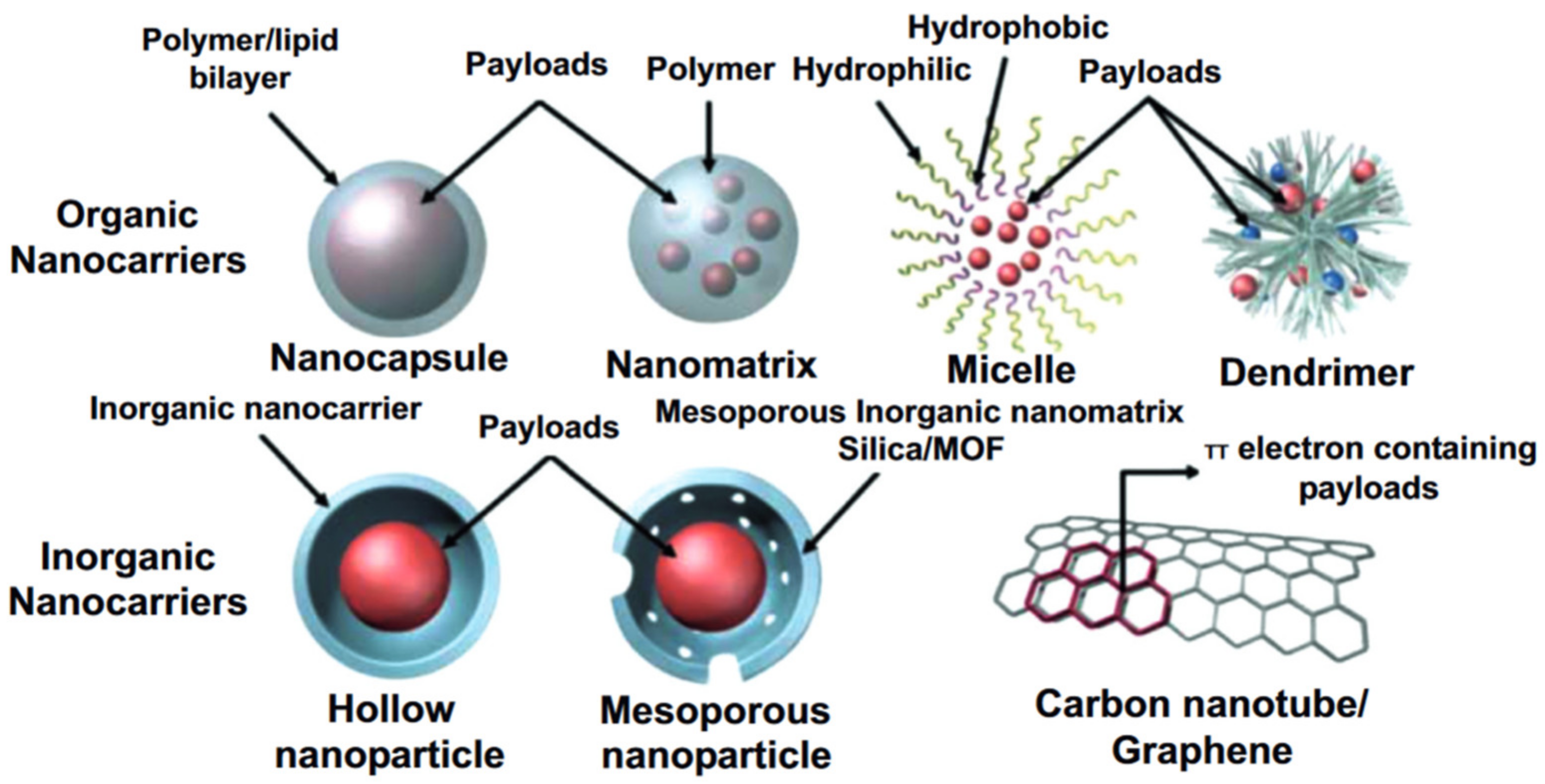 Pharmaceutics 15 01566 g003 Pharmaceutics 15 01566 g003