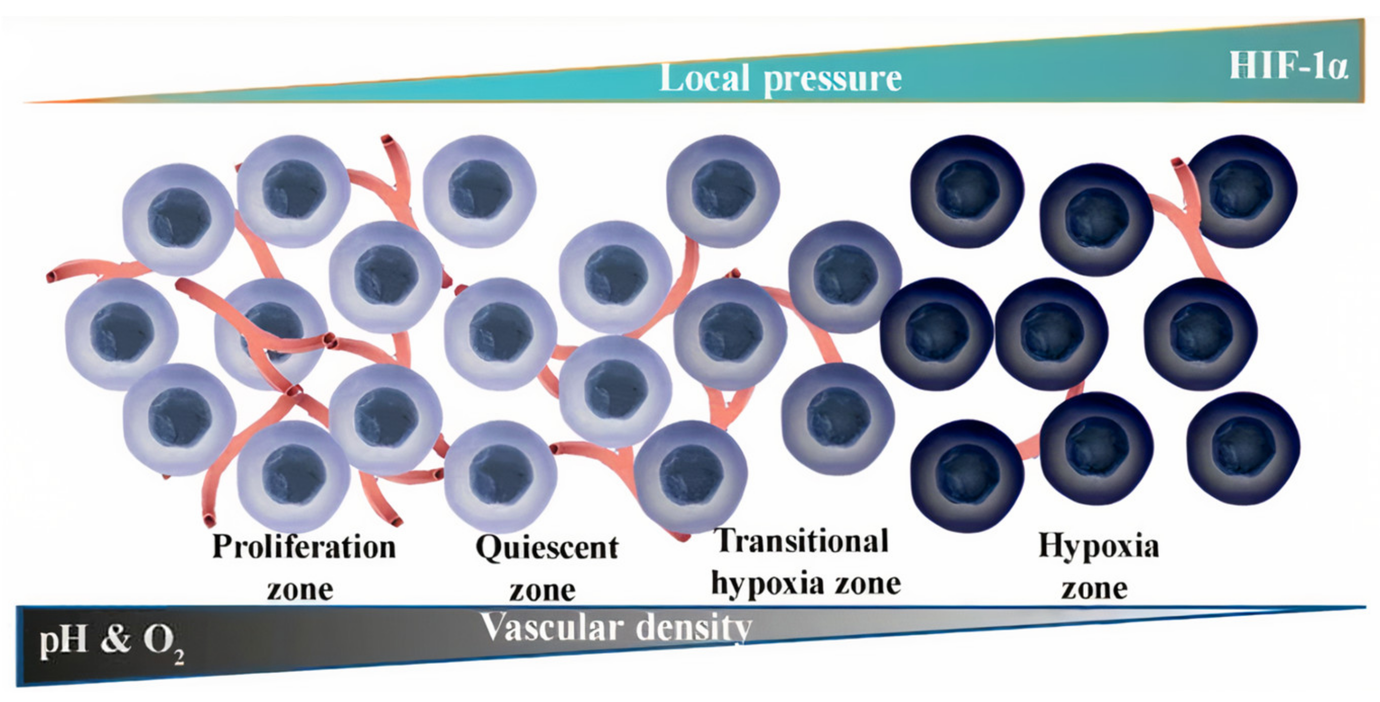 Pharmaceutics 15 01566 g005 Pharmaceutics 15 01566 g005
